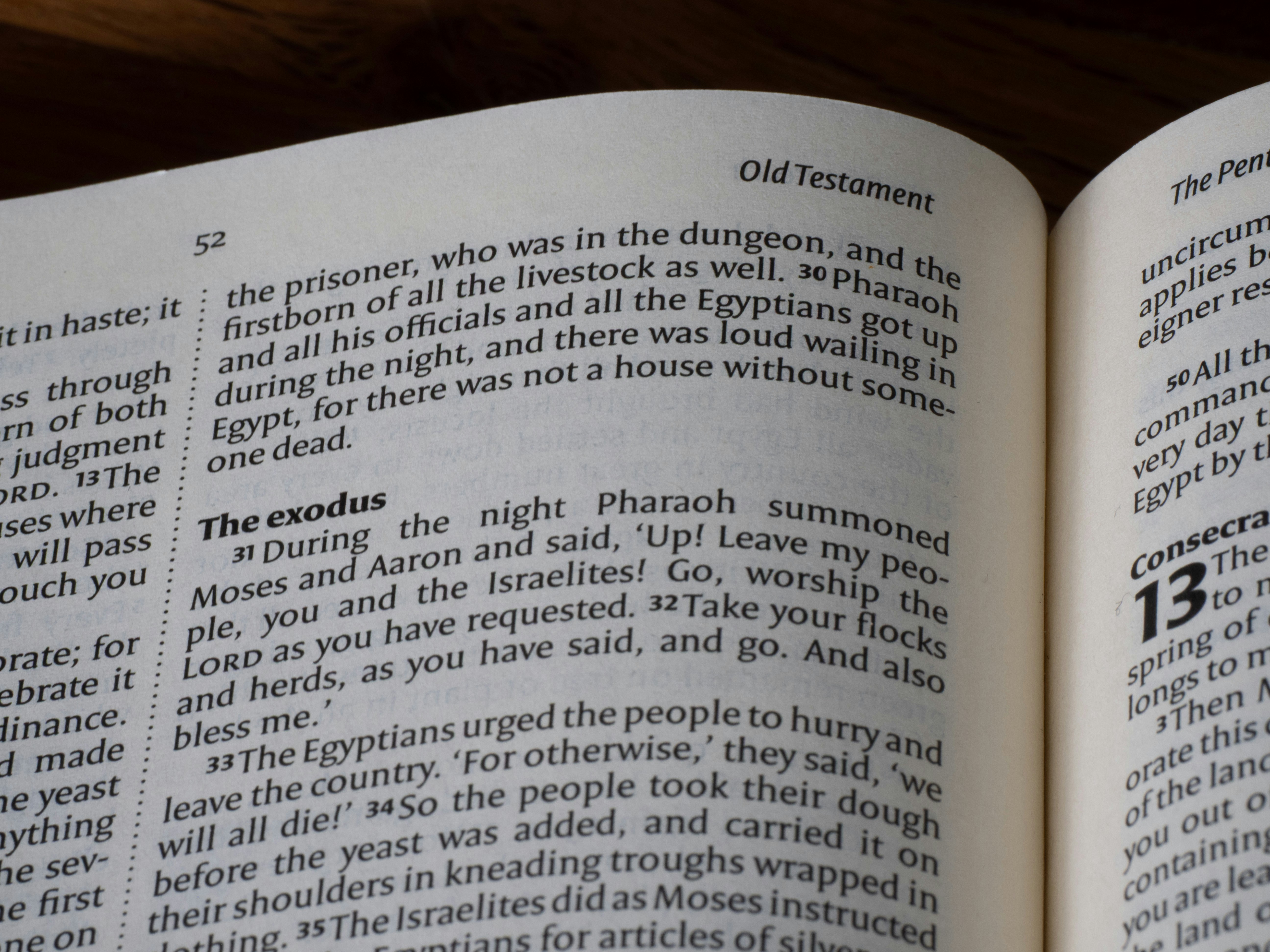 Close-up of an open book with text and headings.