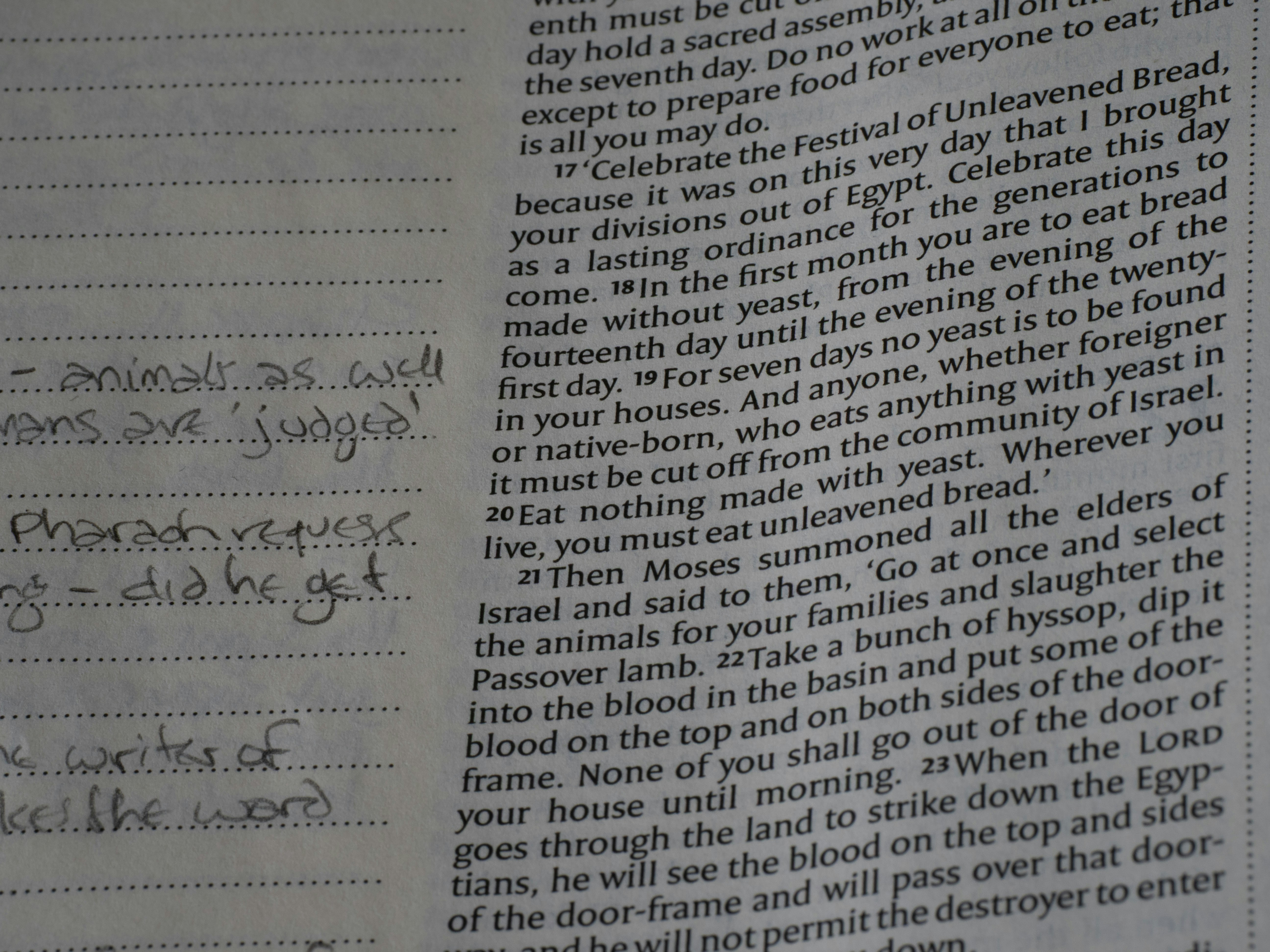 Handwritten notes next to printed text on a page.