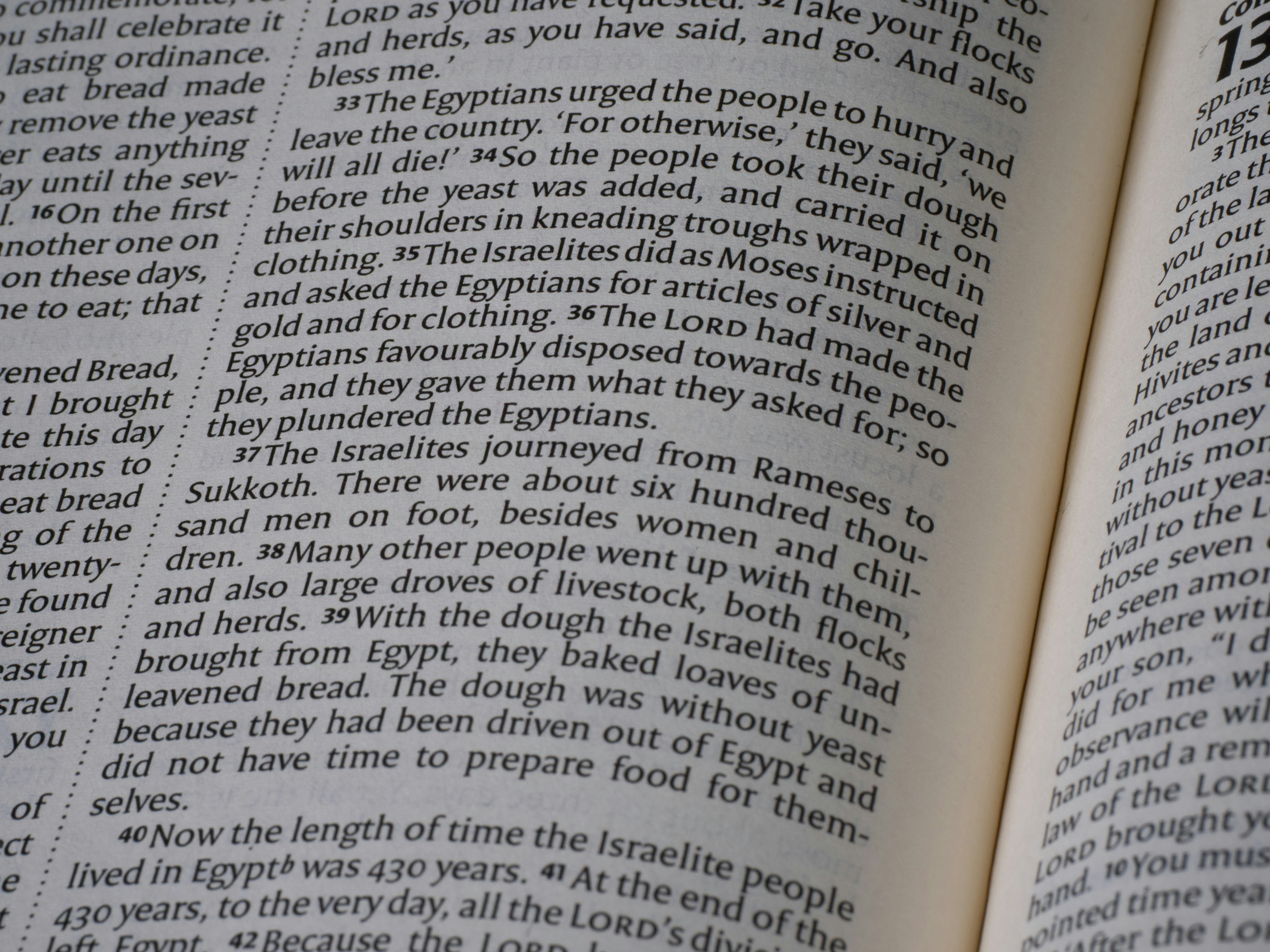 Close-up of an open bible with text visible.