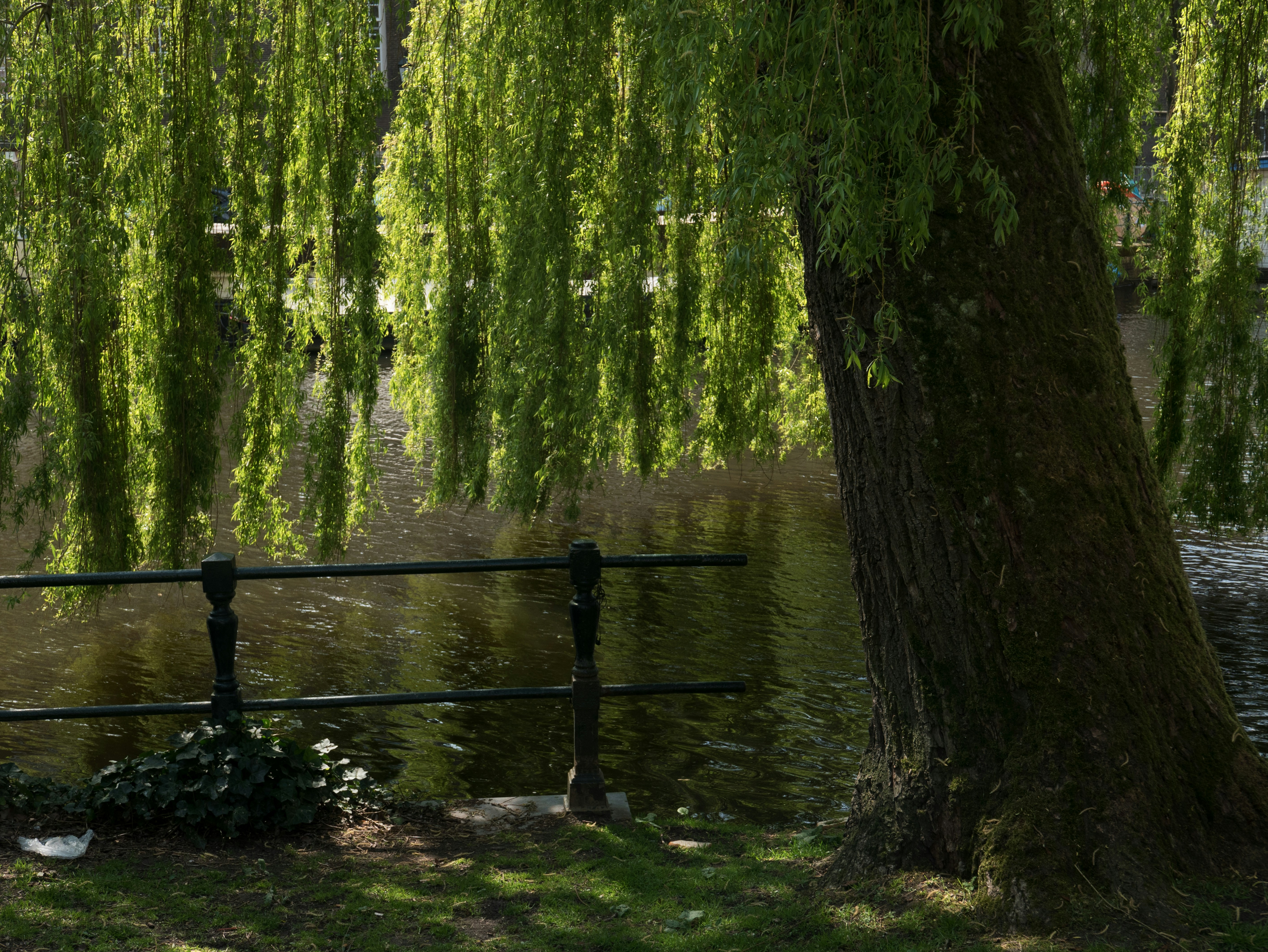 Photo by fonsheijnsbroek_amsterdam_photos