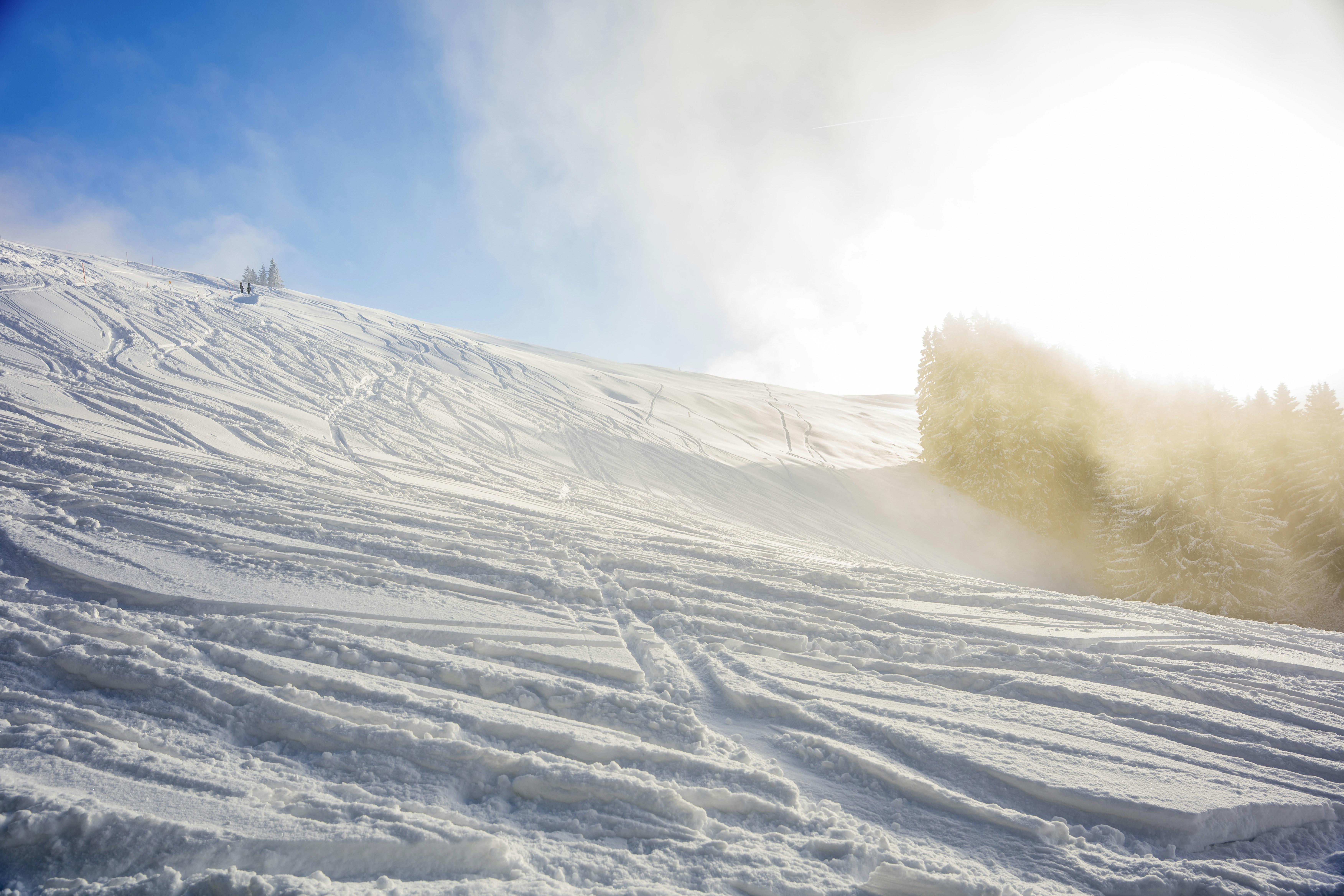 Photo by raw_capture_by