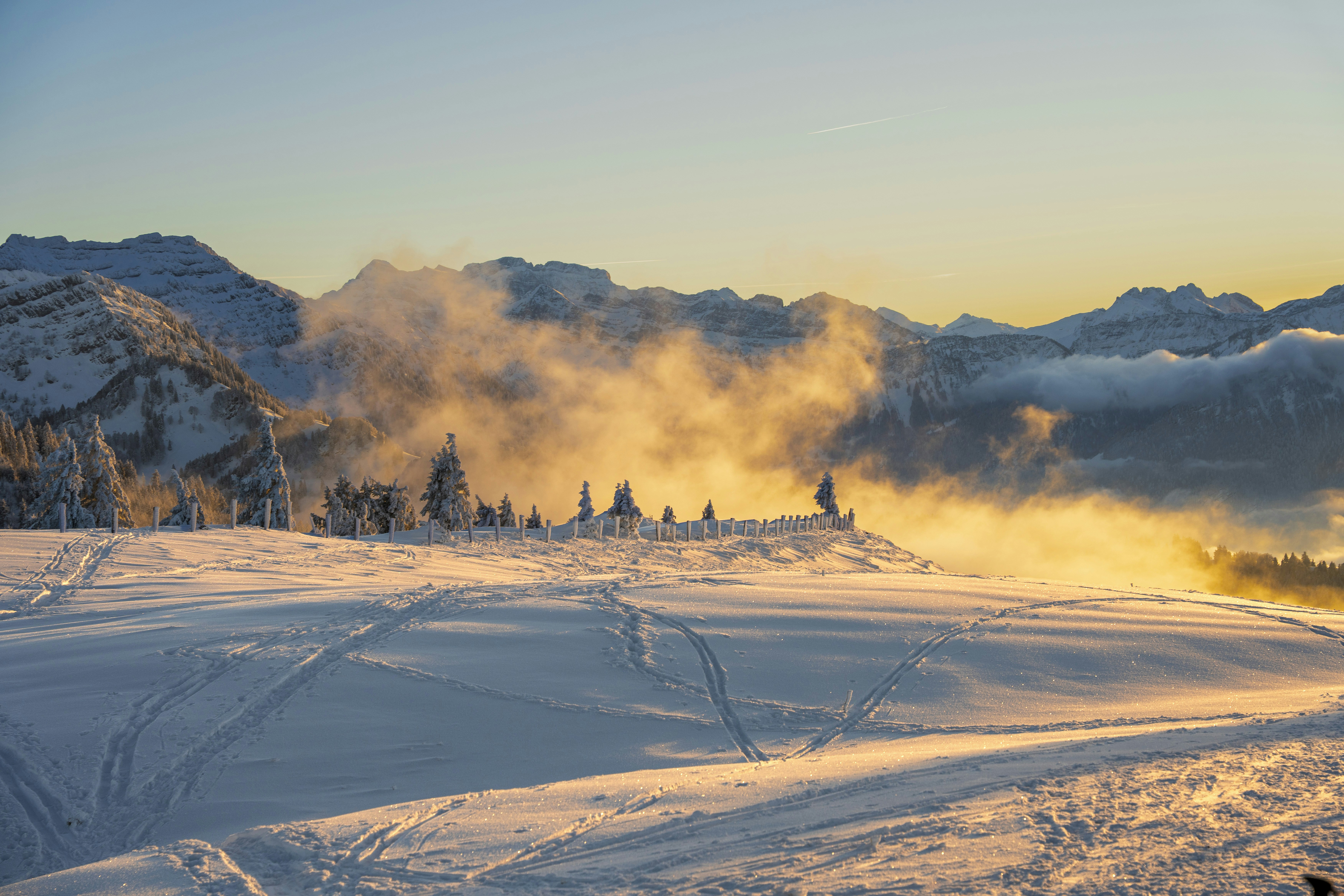 Leading Registered Agent Reviews: Which Service Comes Out on Top