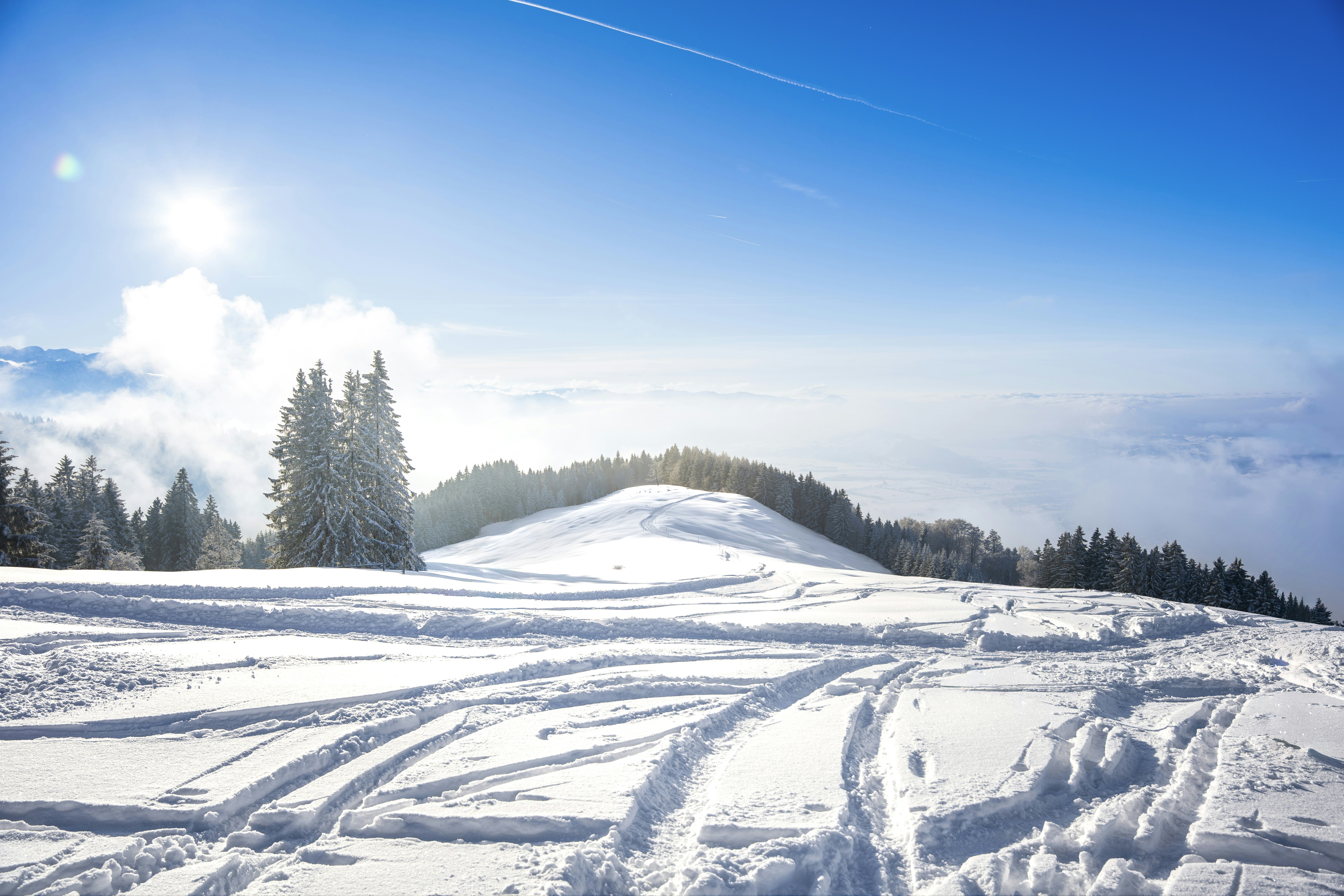 Photo by raw_capture_by