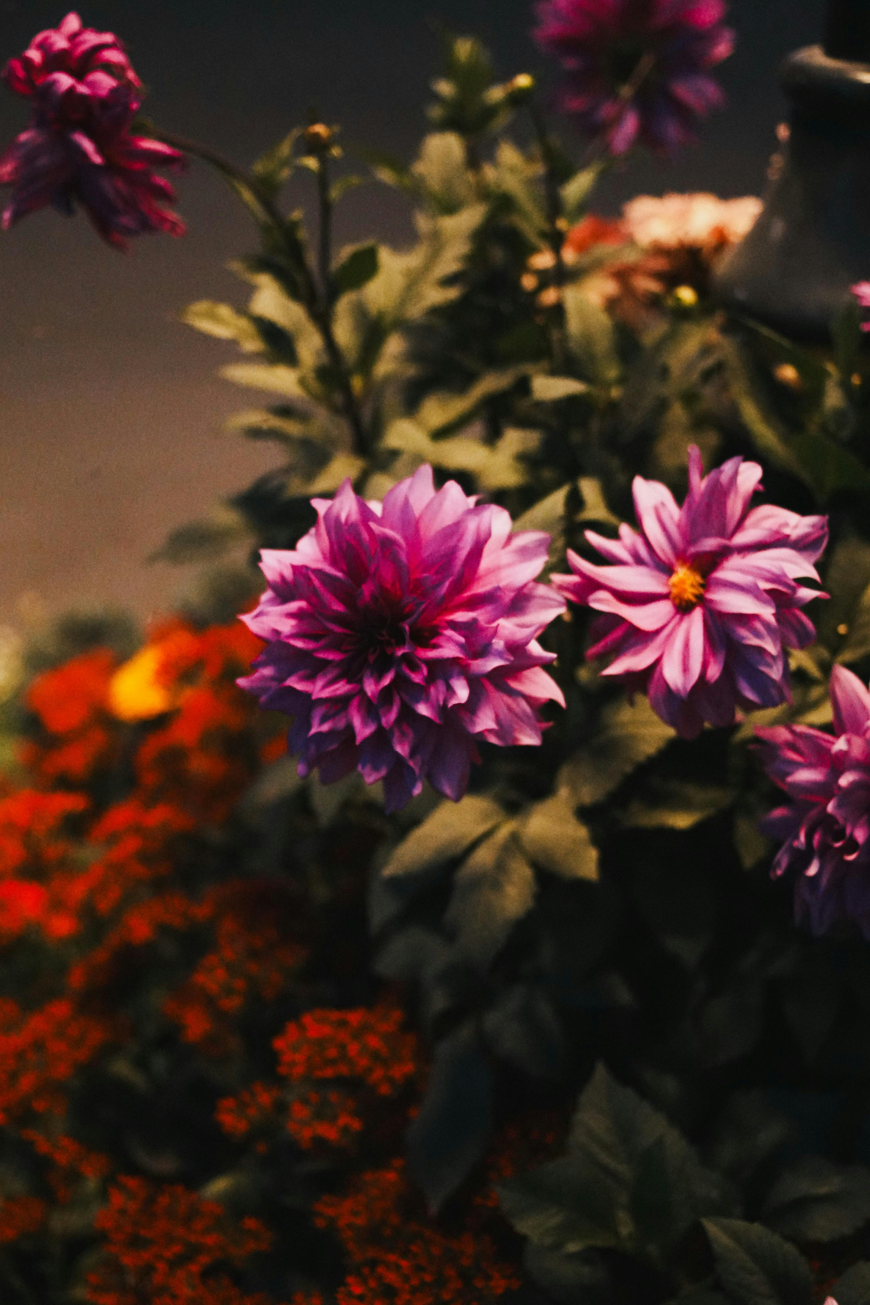 Photo by ishaanthephotoman