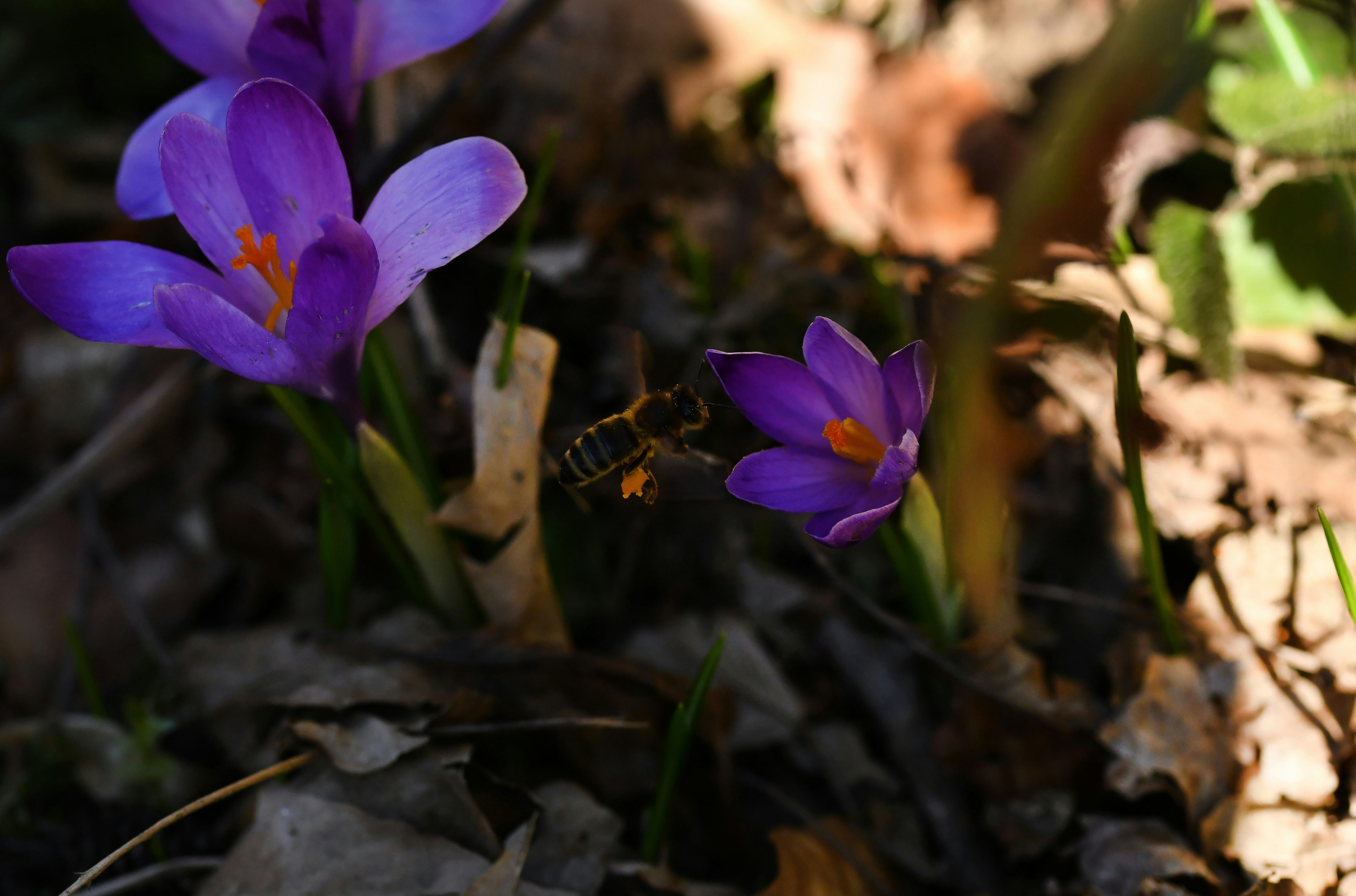 Photo by leonsky
