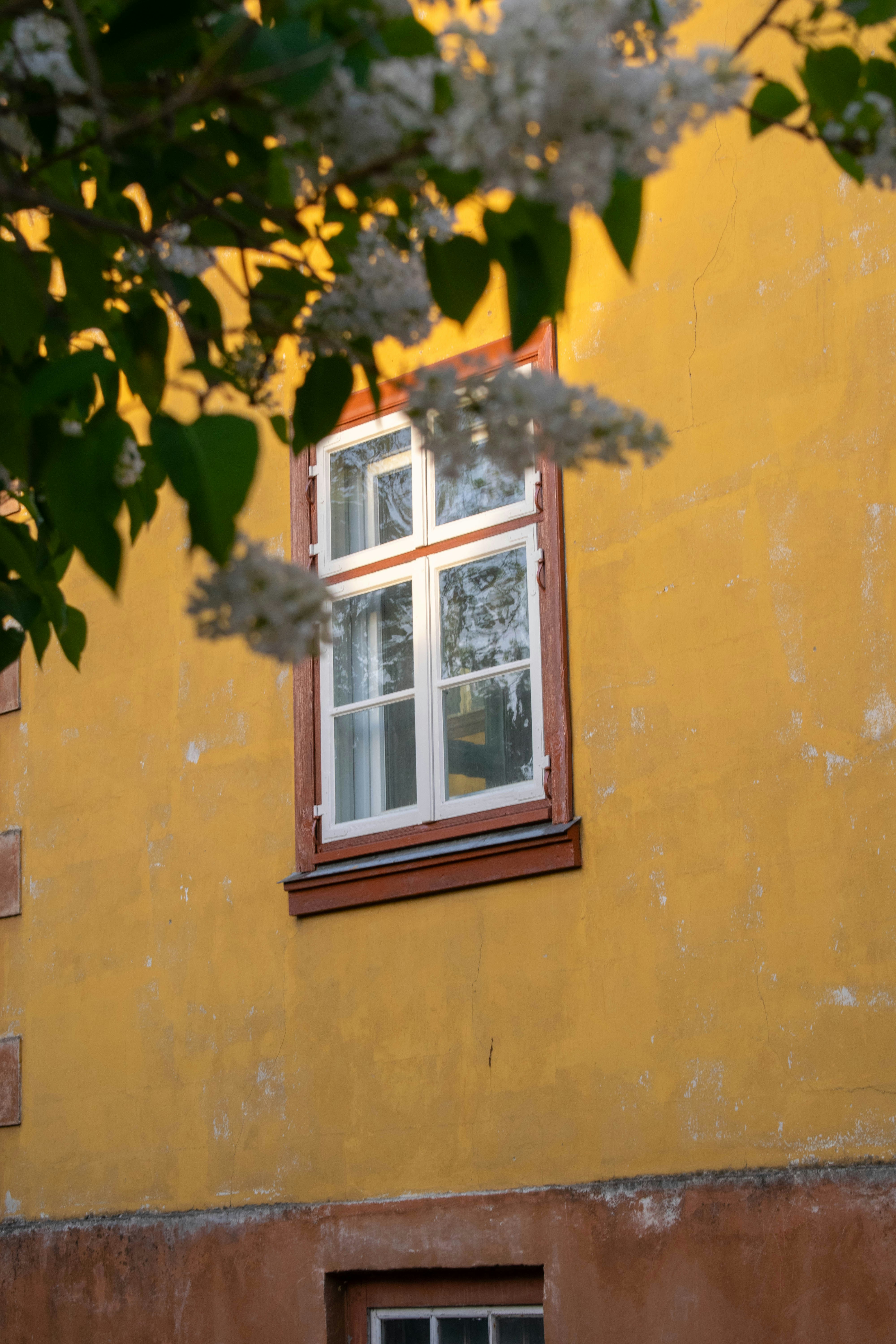 Photo by alexandre13