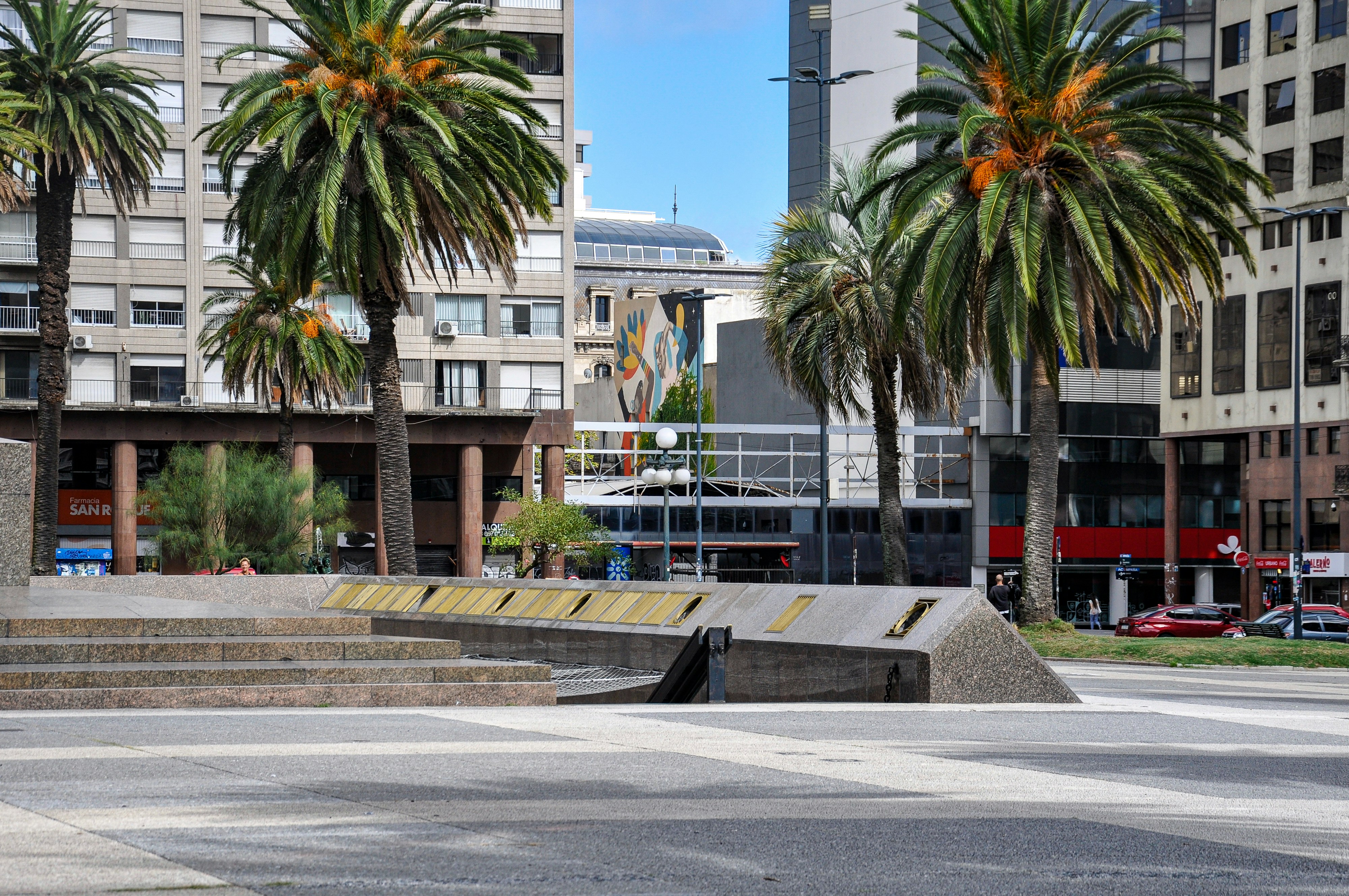 Palm trees line a city plaza with modern buildings.