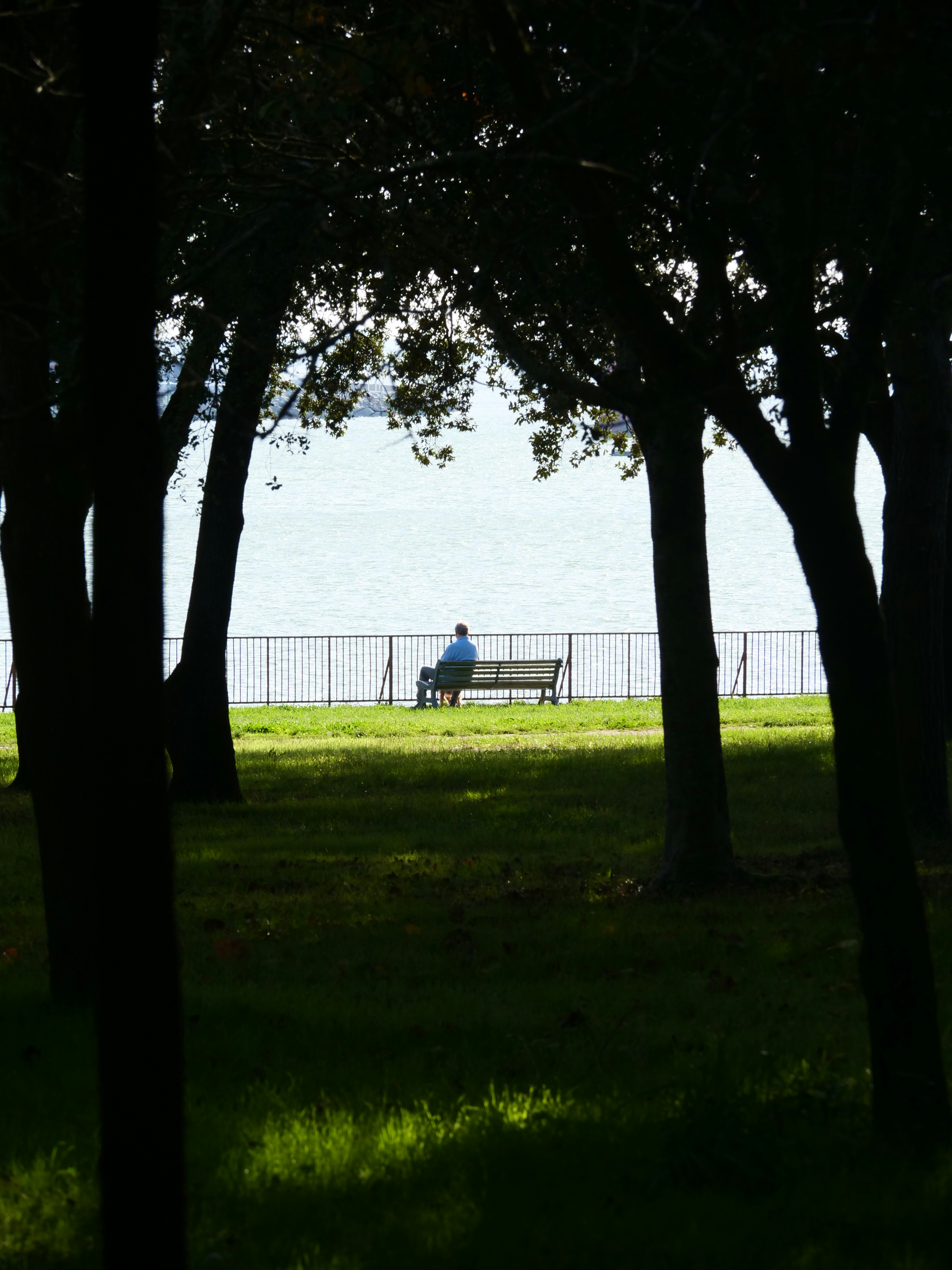Man sits on a park bench overlooking the water.