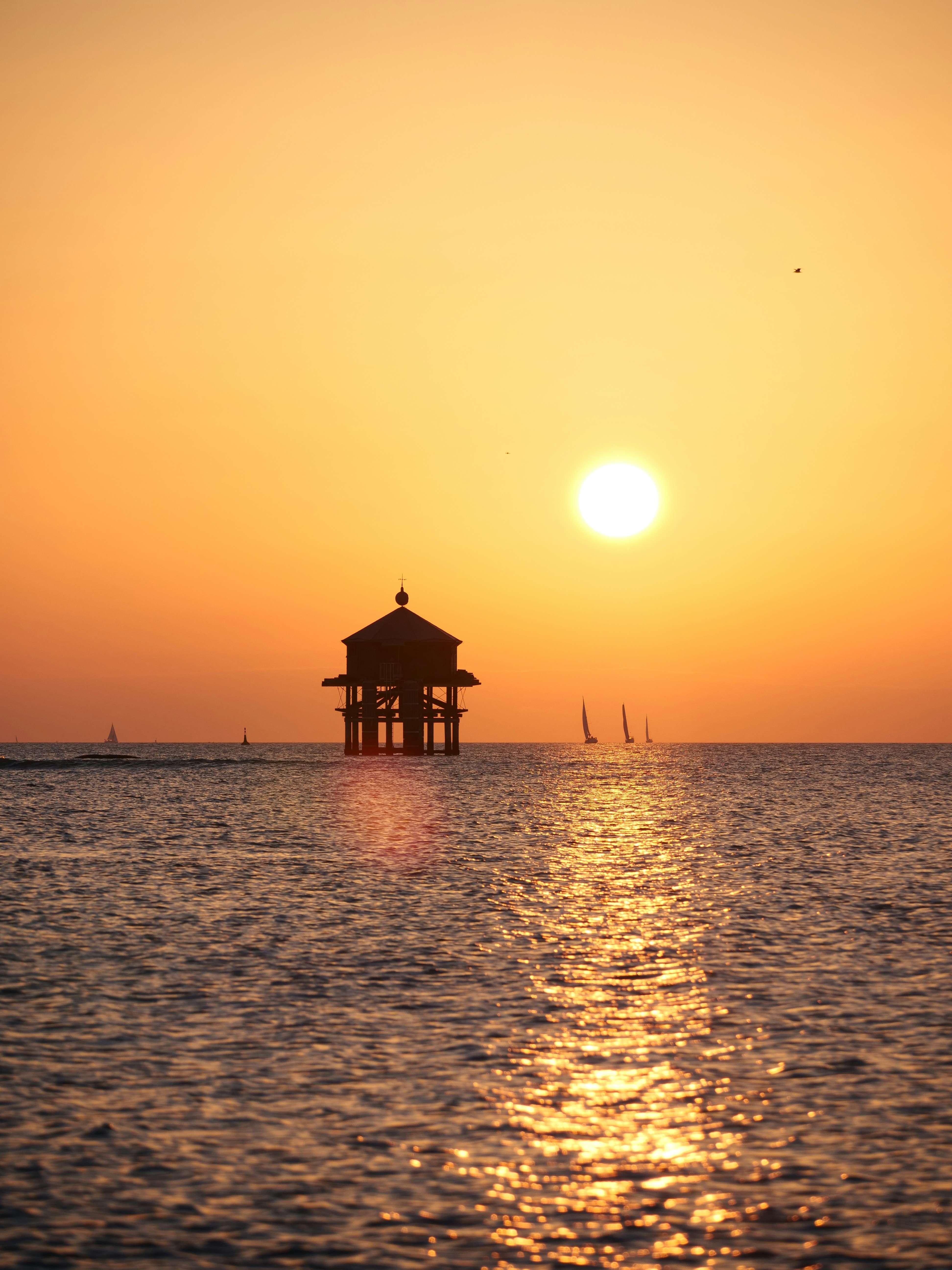 Photo by nimbus_vulpis