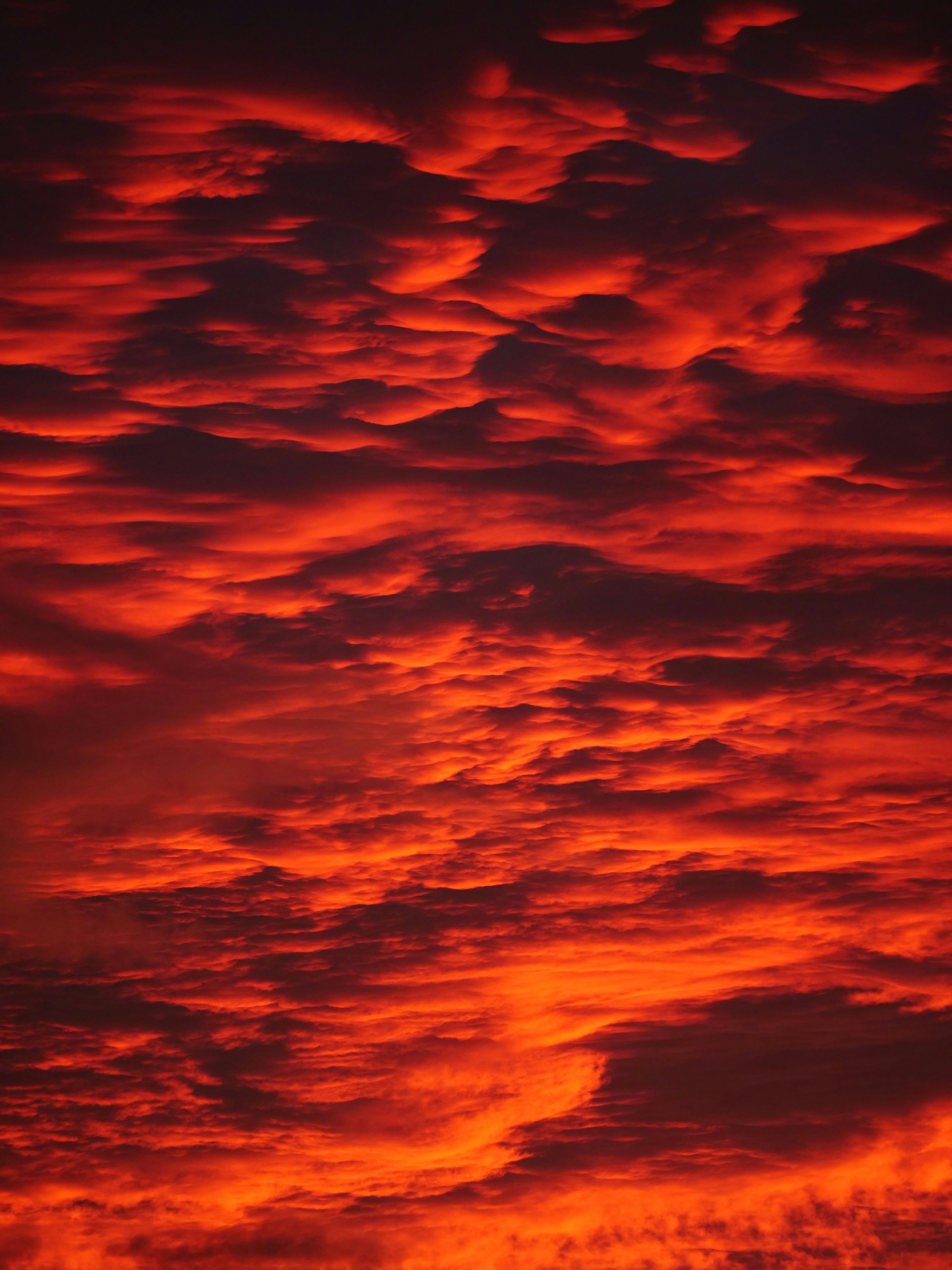 Fiery red clouds fill the sky at sunset.