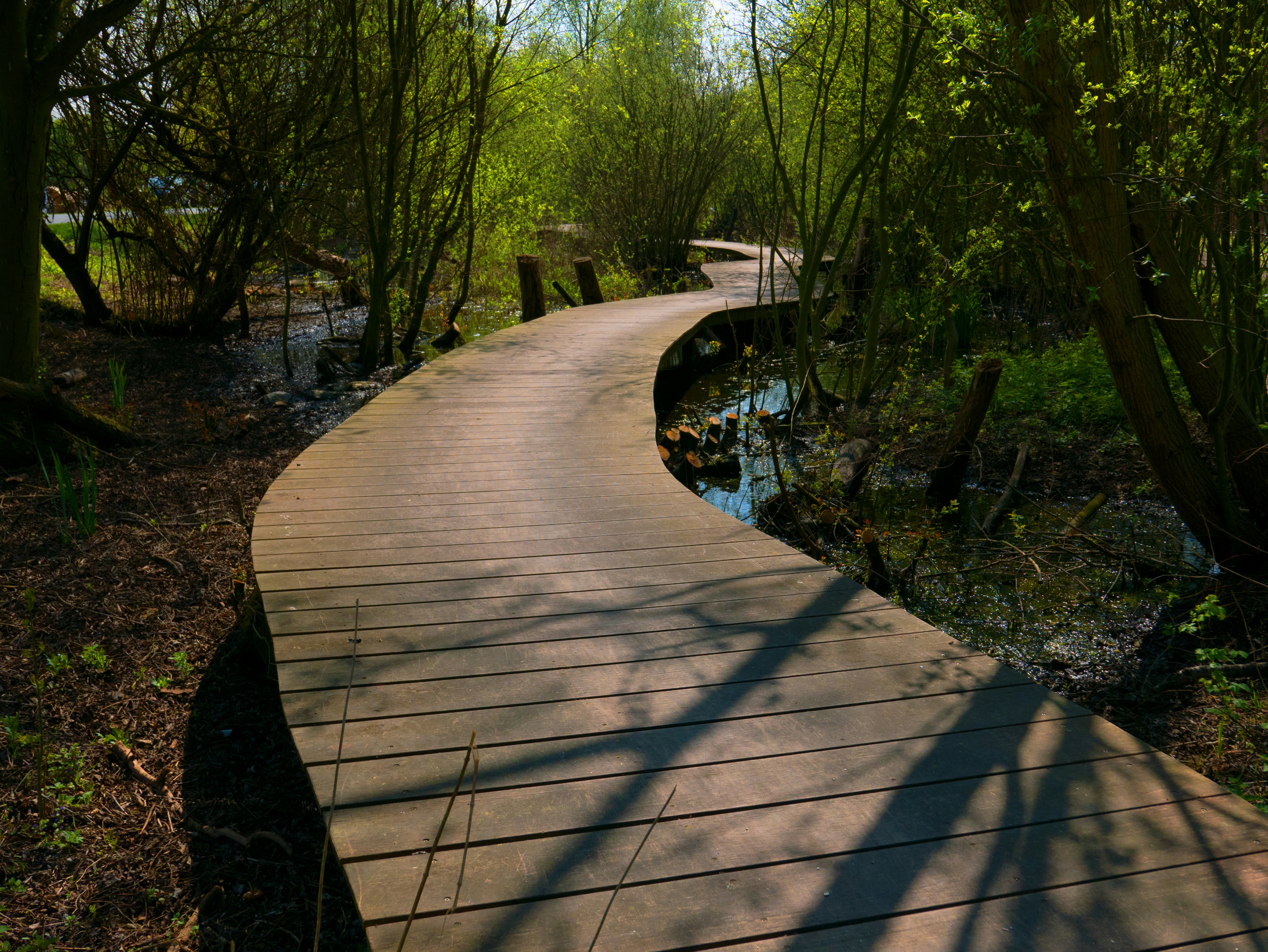 Photo by fonsheijnsbroek_amsterdam_photos