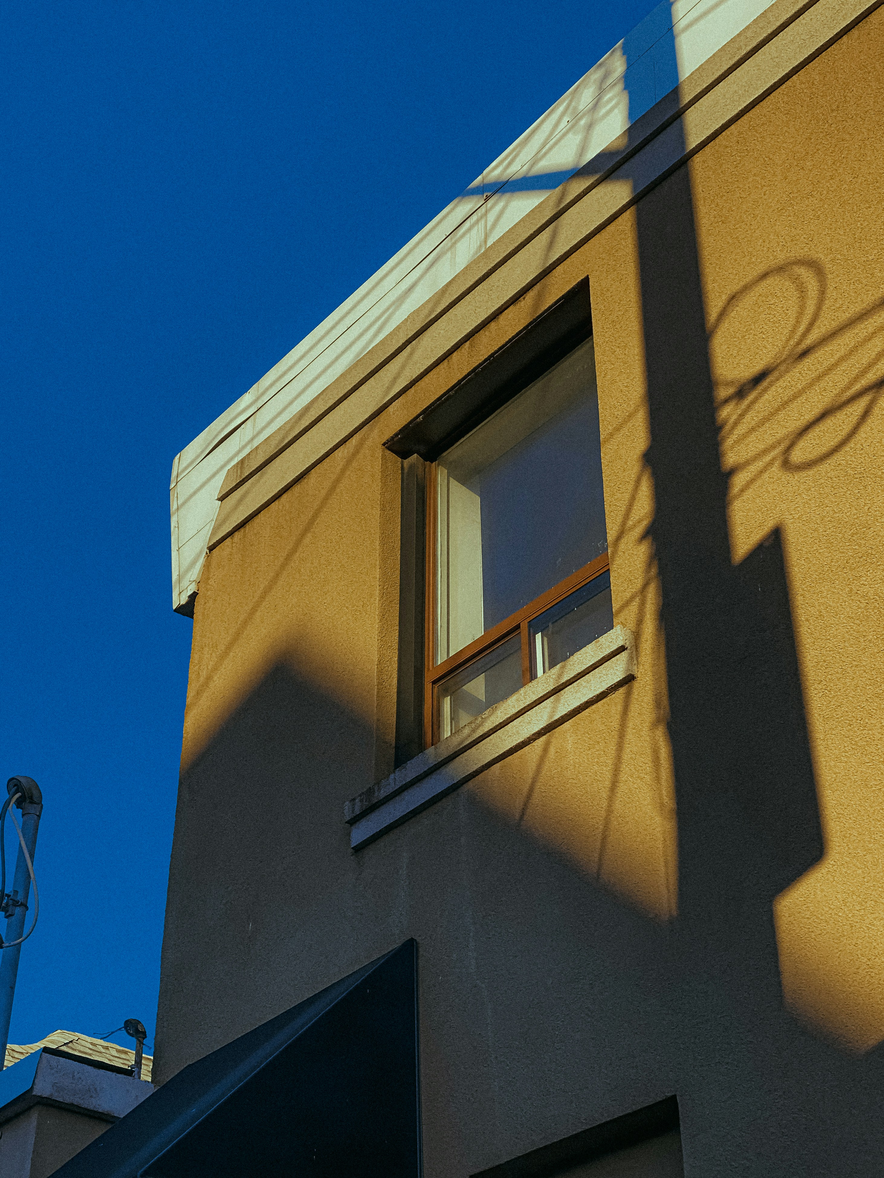 Photo by linusbelanger