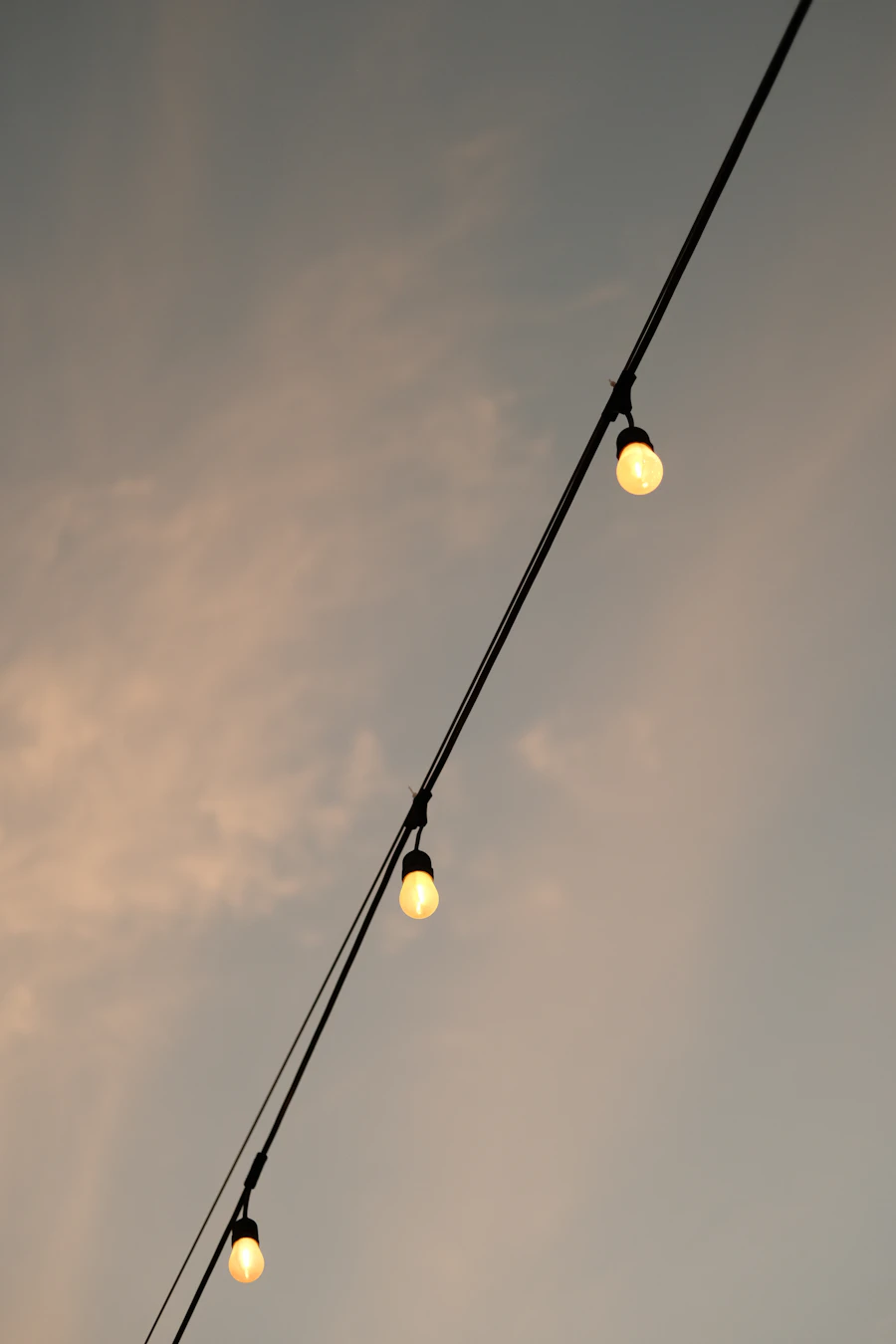 String lighting across a garden canopy at dusk