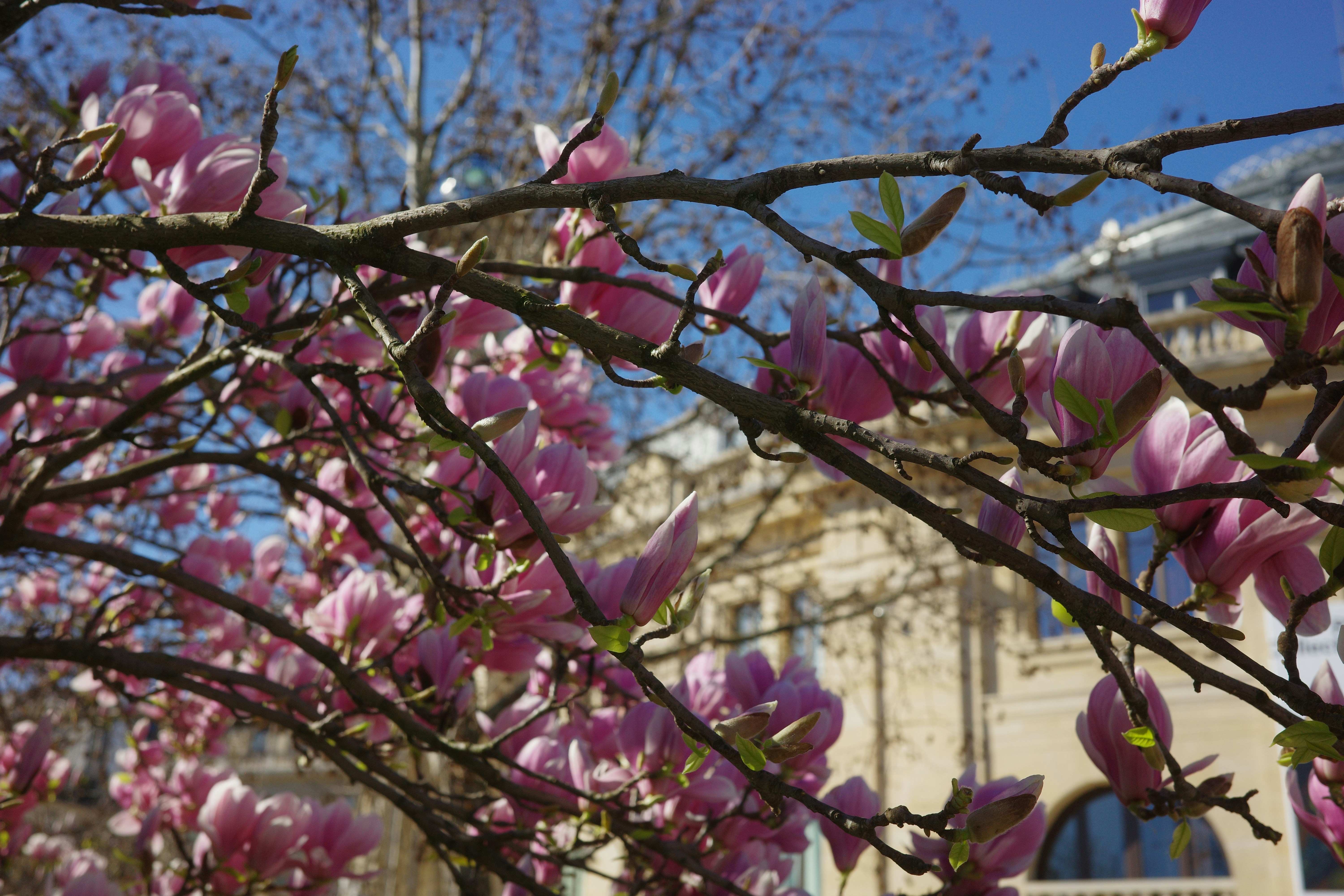 Photo by cheesy_daniel