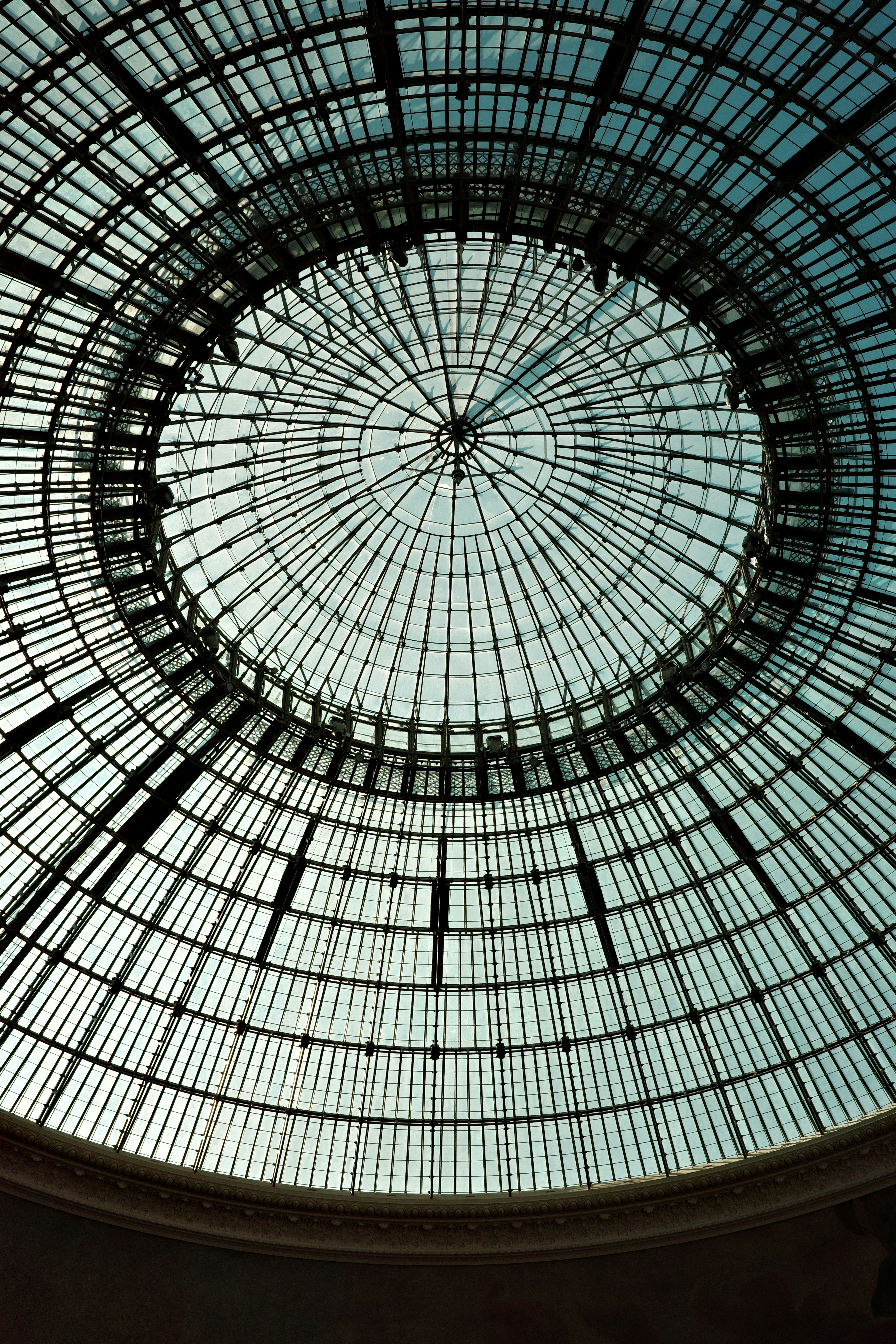 Photo by cheesy_daniel