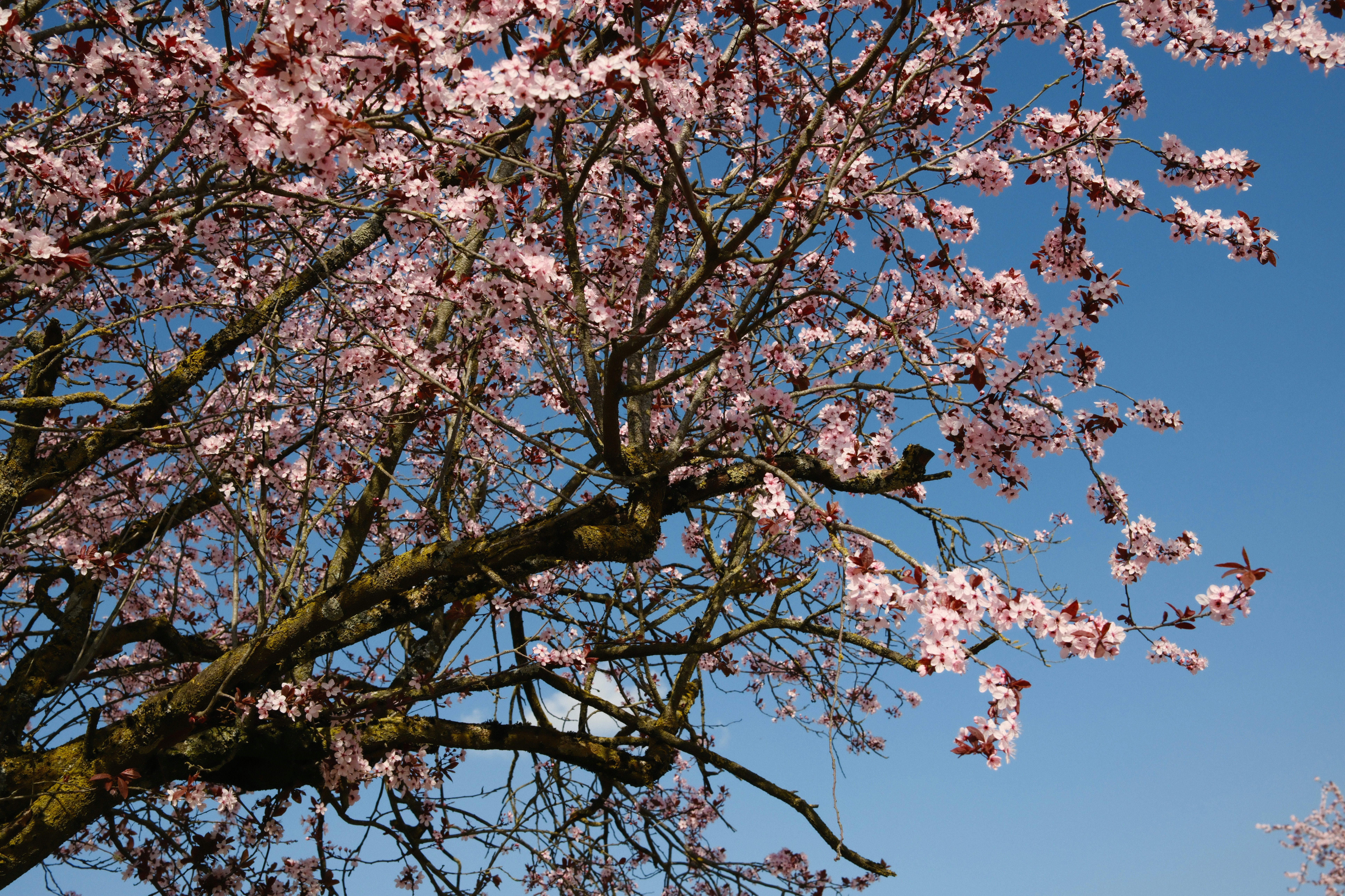 Photo by cheesy_daniel