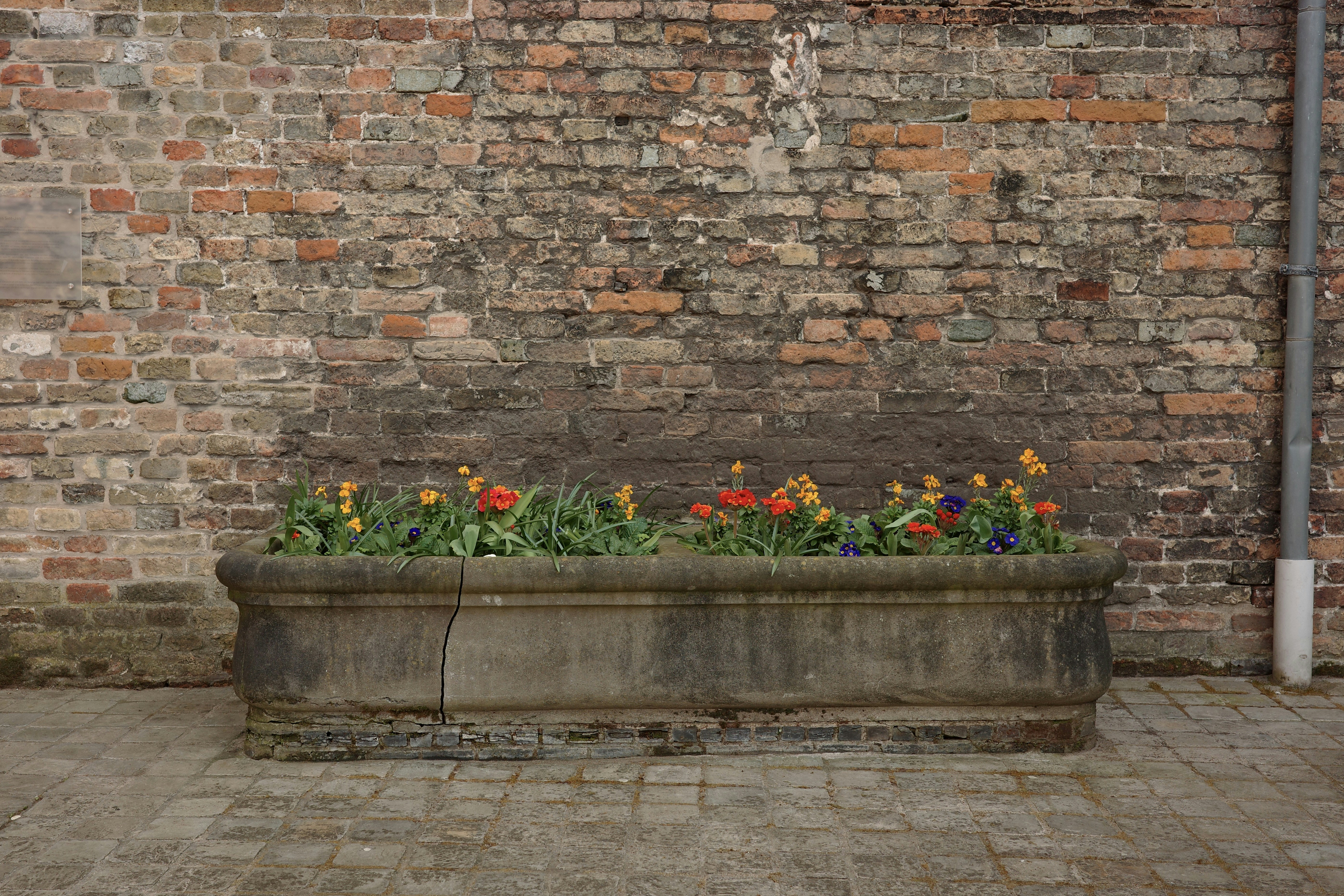 A vertical pallet planter filled with lush herbs and colorful flowers against a brick wall - urban garden ideas