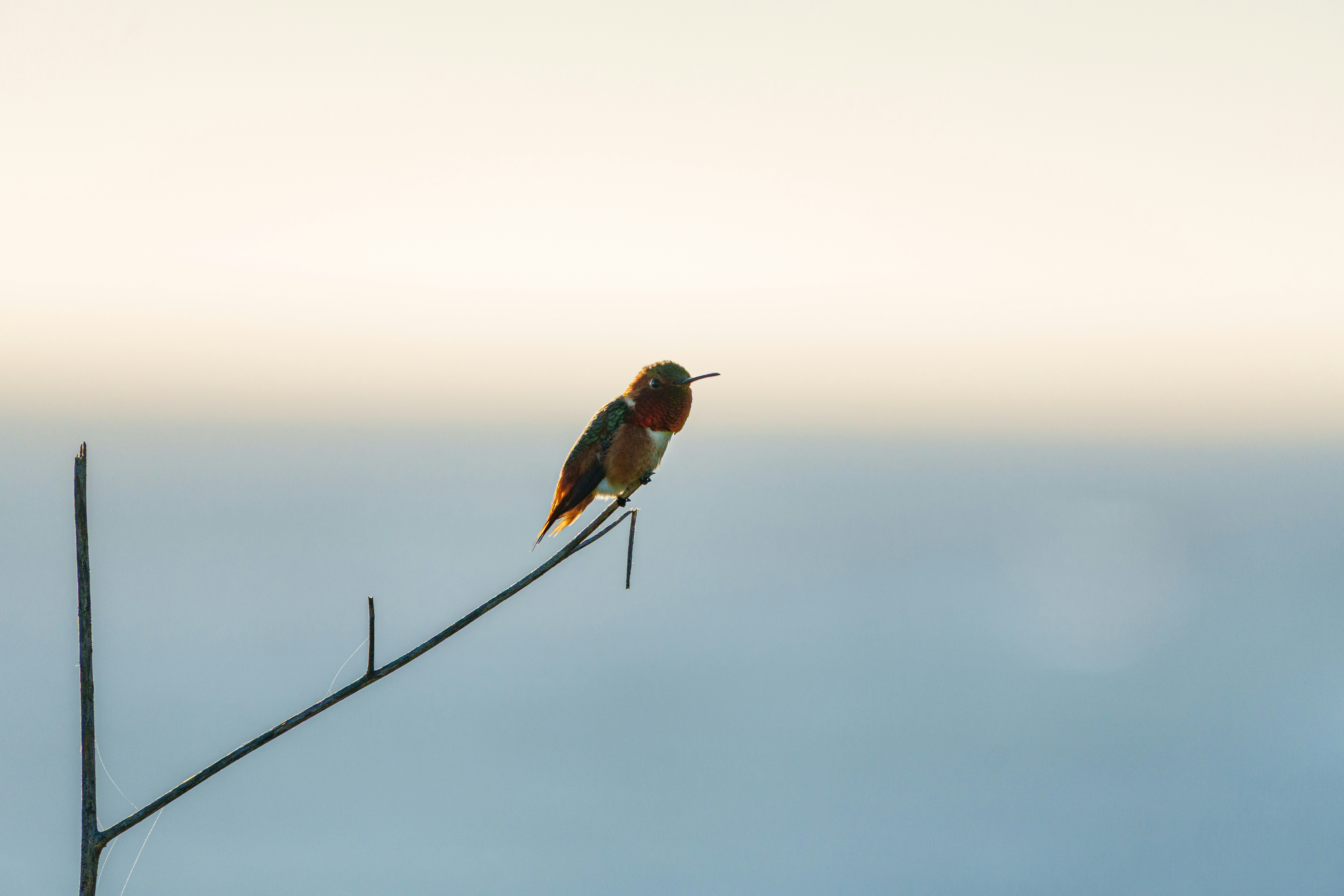 Photo by sizzle_king