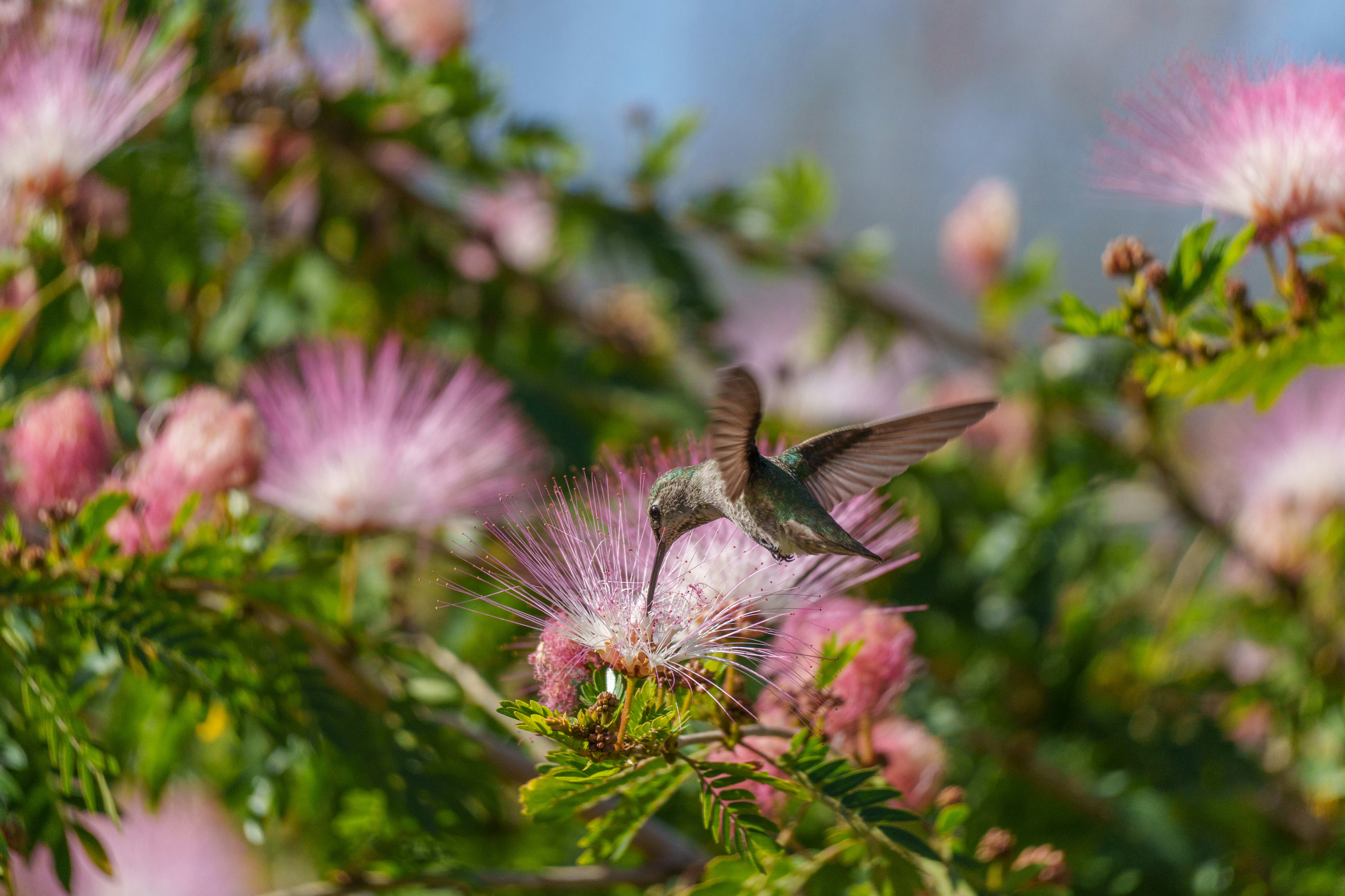 Photo by sizzle_king