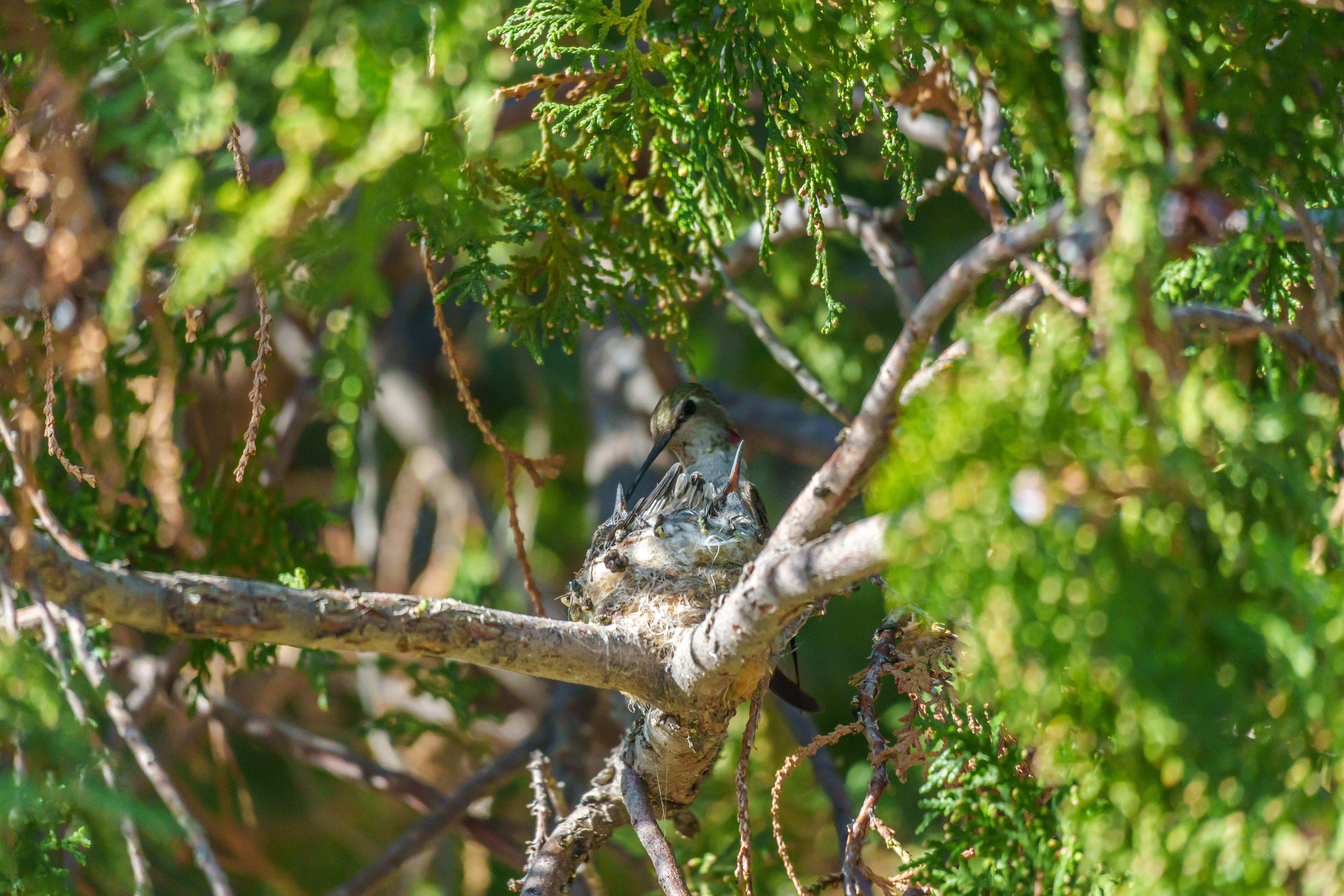 Photo by sizzle_king