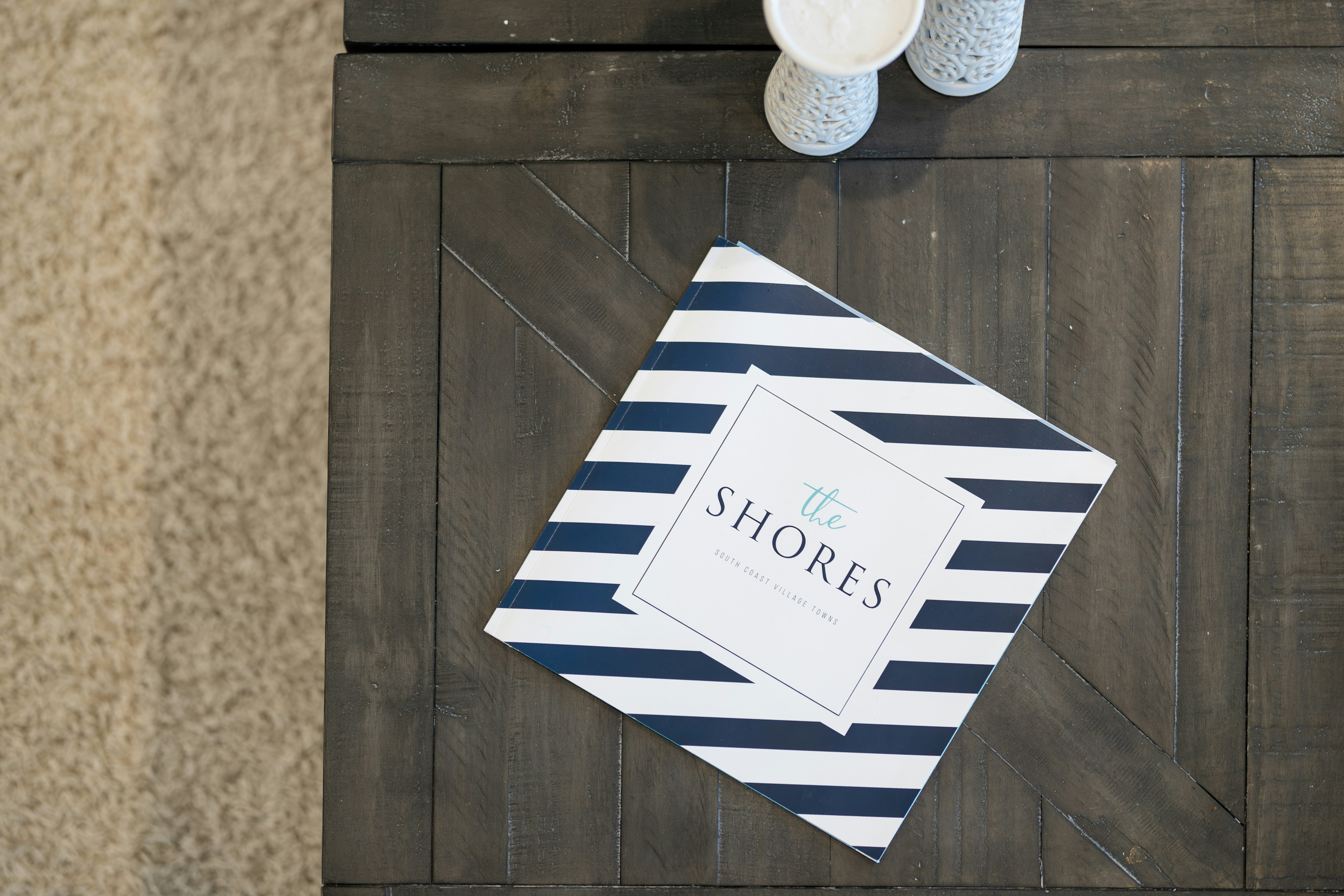 A book with blue and white stripes titled the shores.