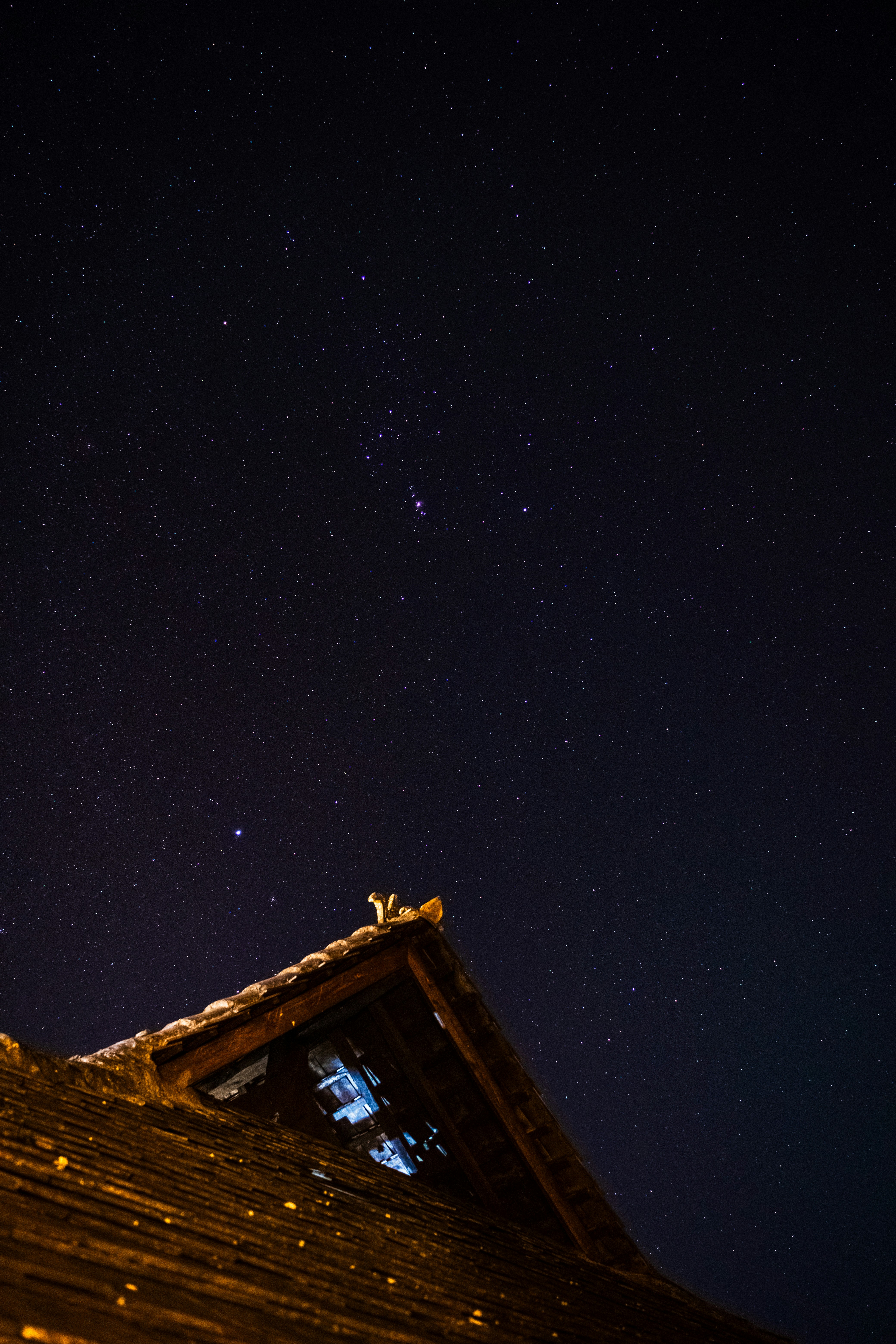 Photo by ekko11