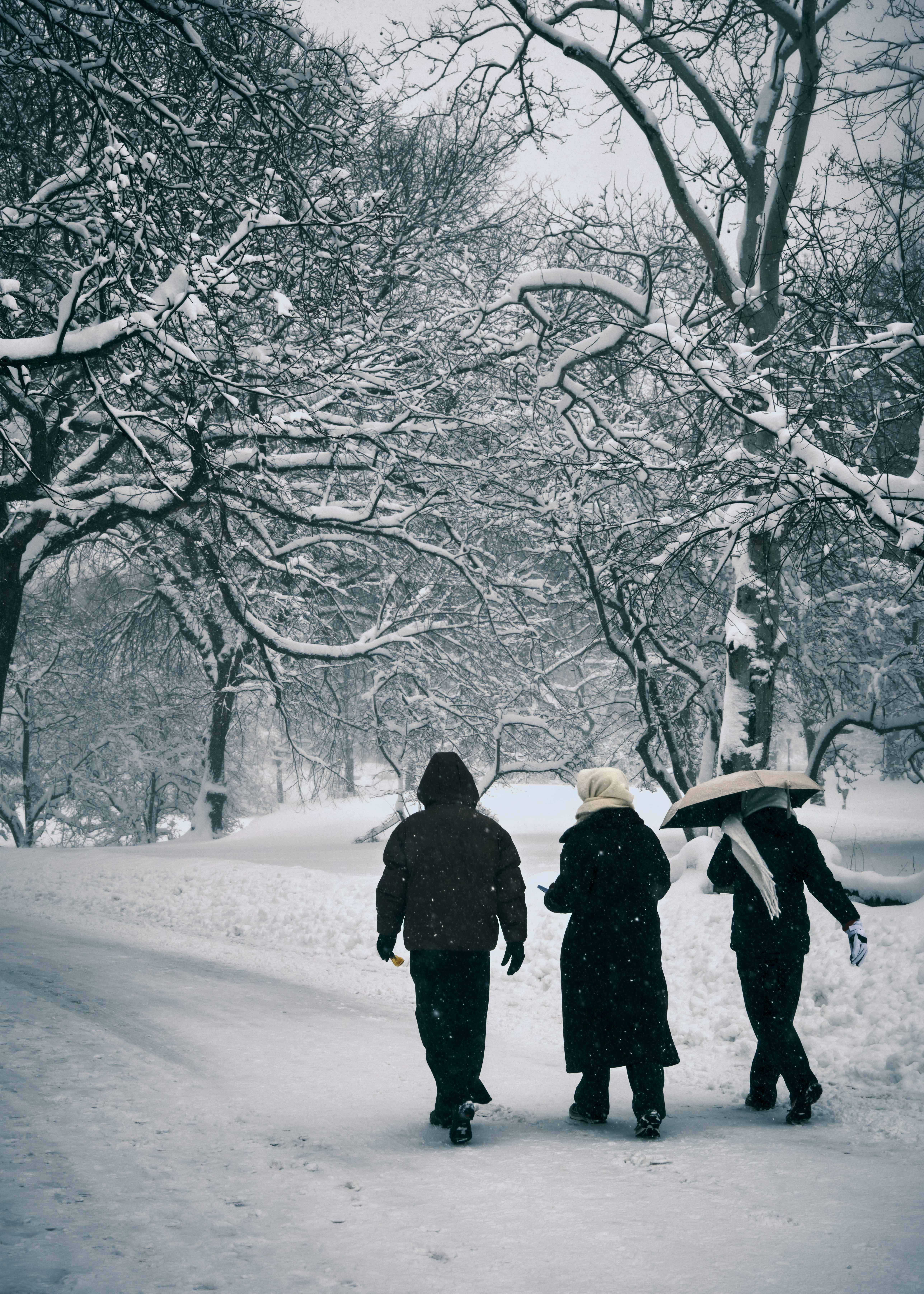 三人が木々の下の雪道を歩いている。