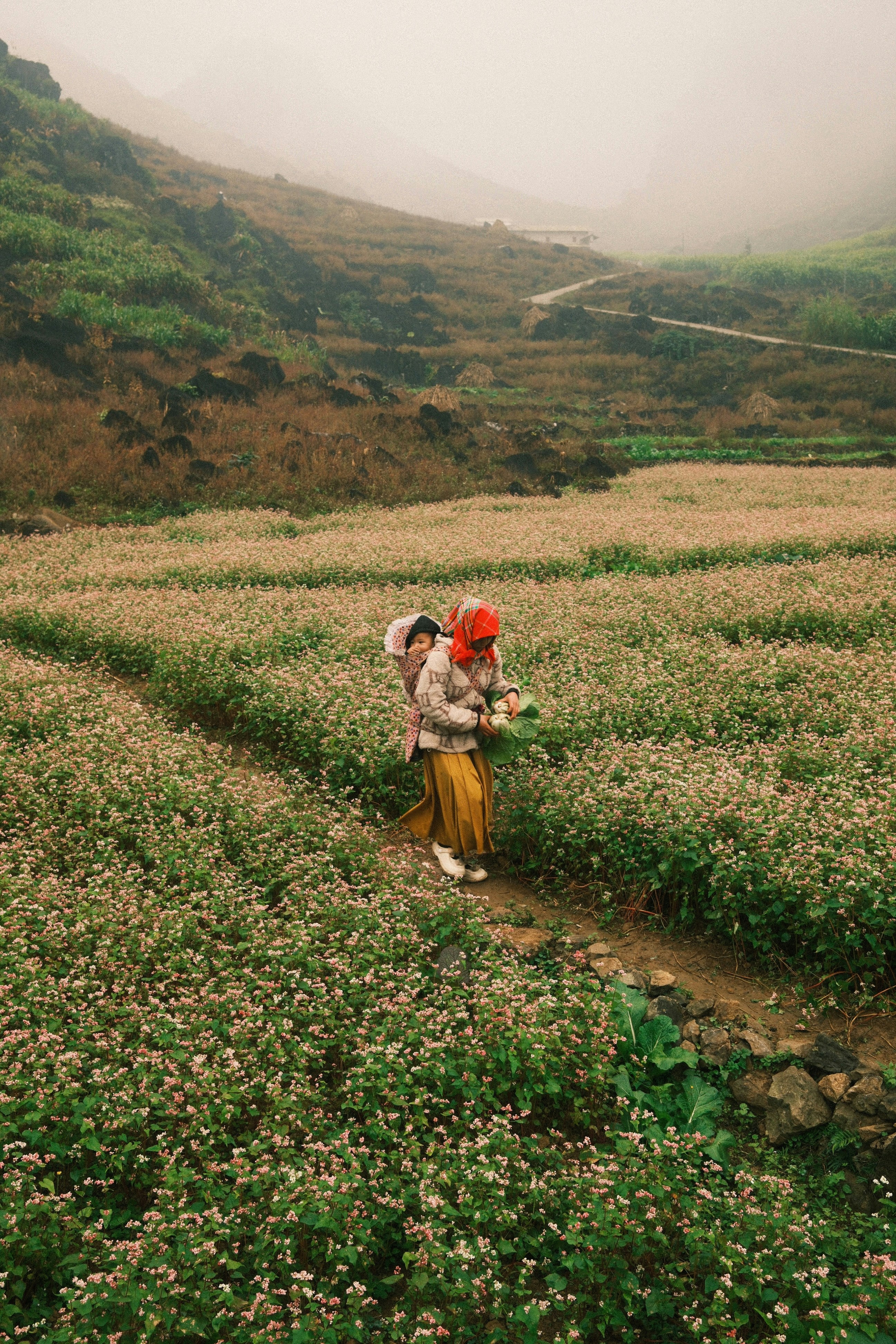 Mujer que lleva al niño a través de un campo de flores