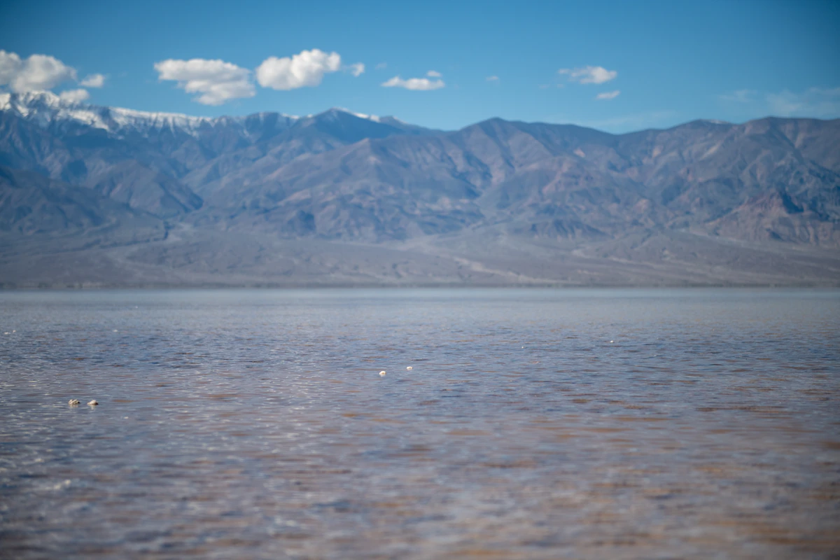 photo by Holly Landkammer (@hlandkammer) on unsplash