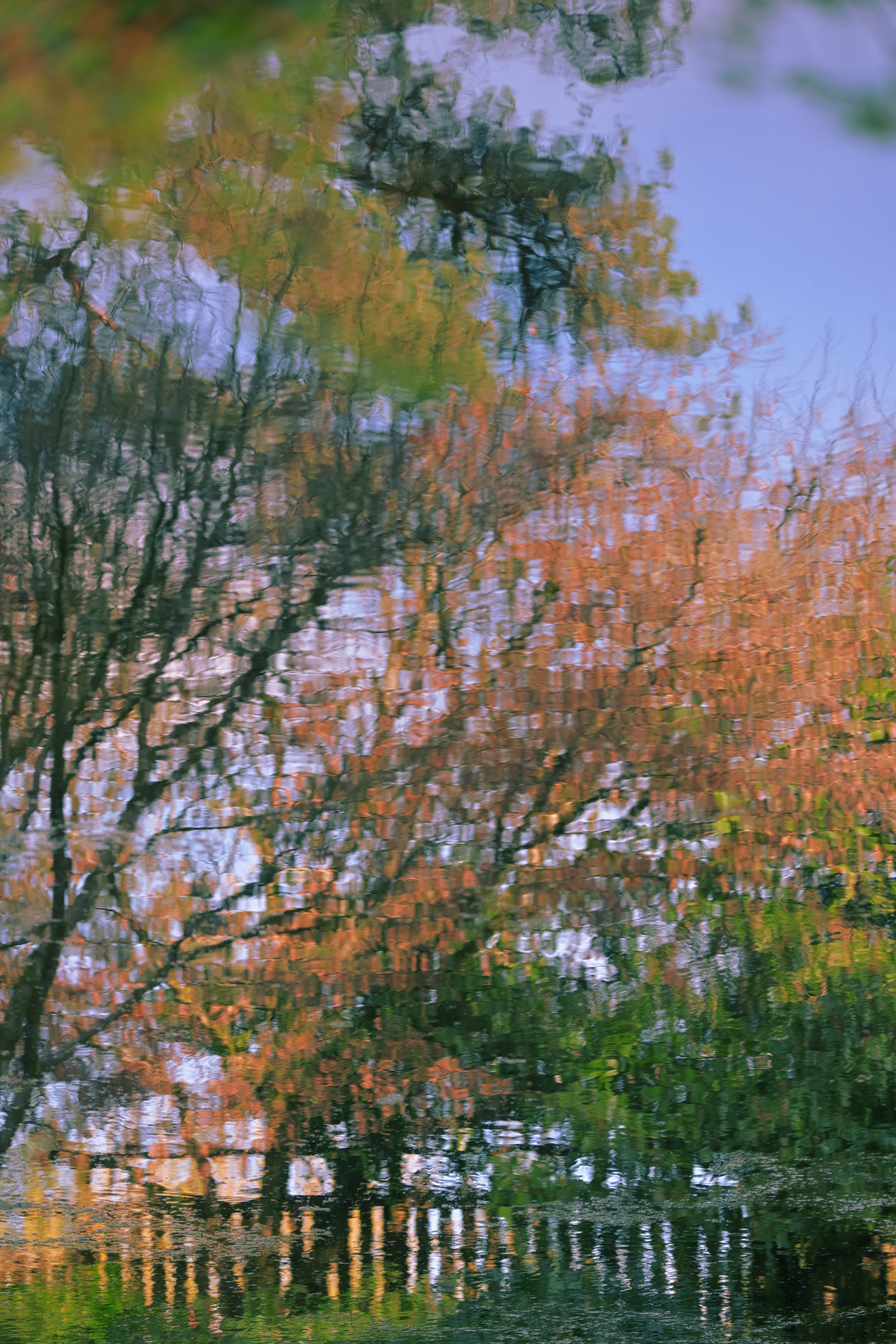 Photo by fleeting_glow