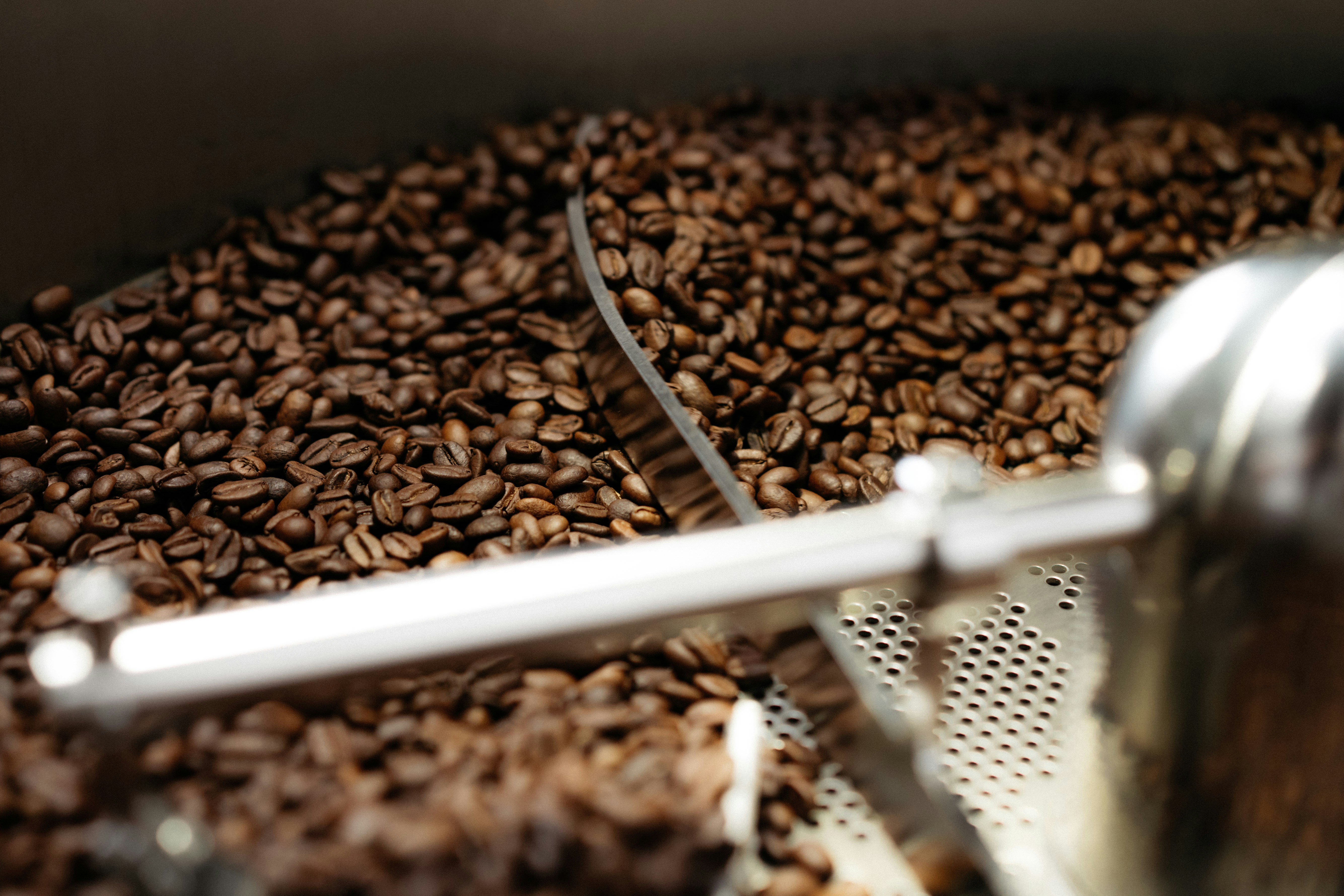 Photo by __humanbean