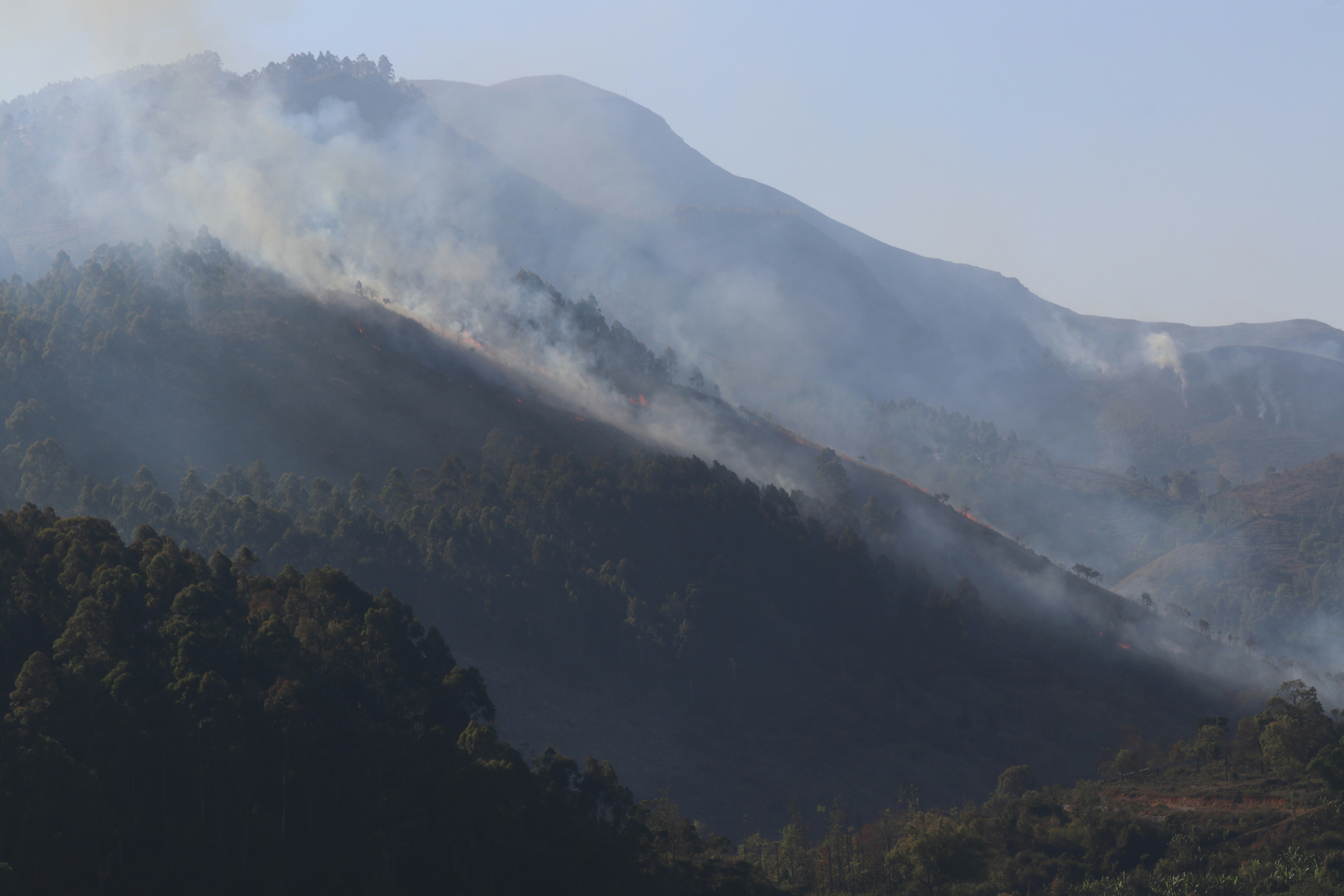 Photo by dinesh_d_kumar