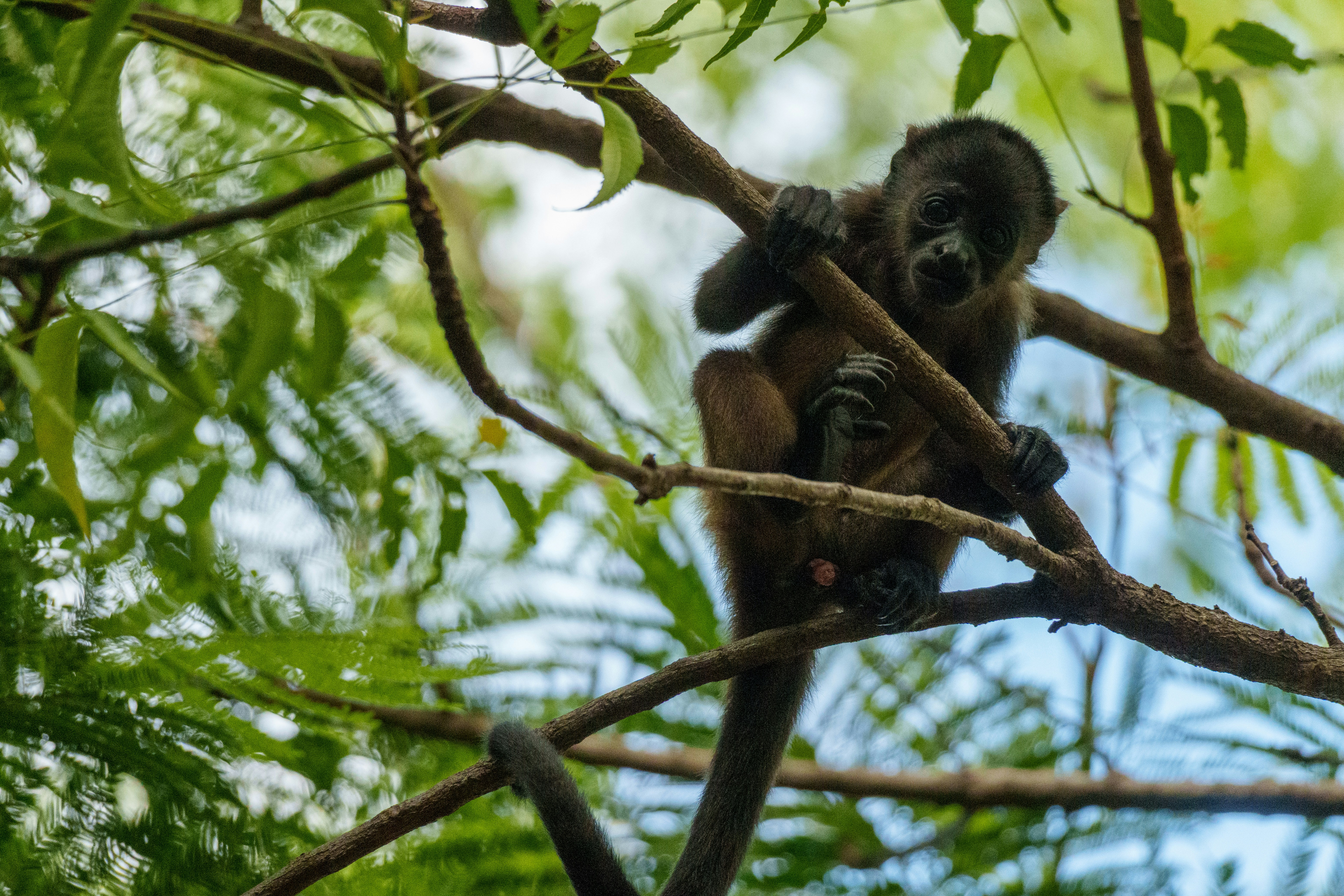 Photo by sizzle_king