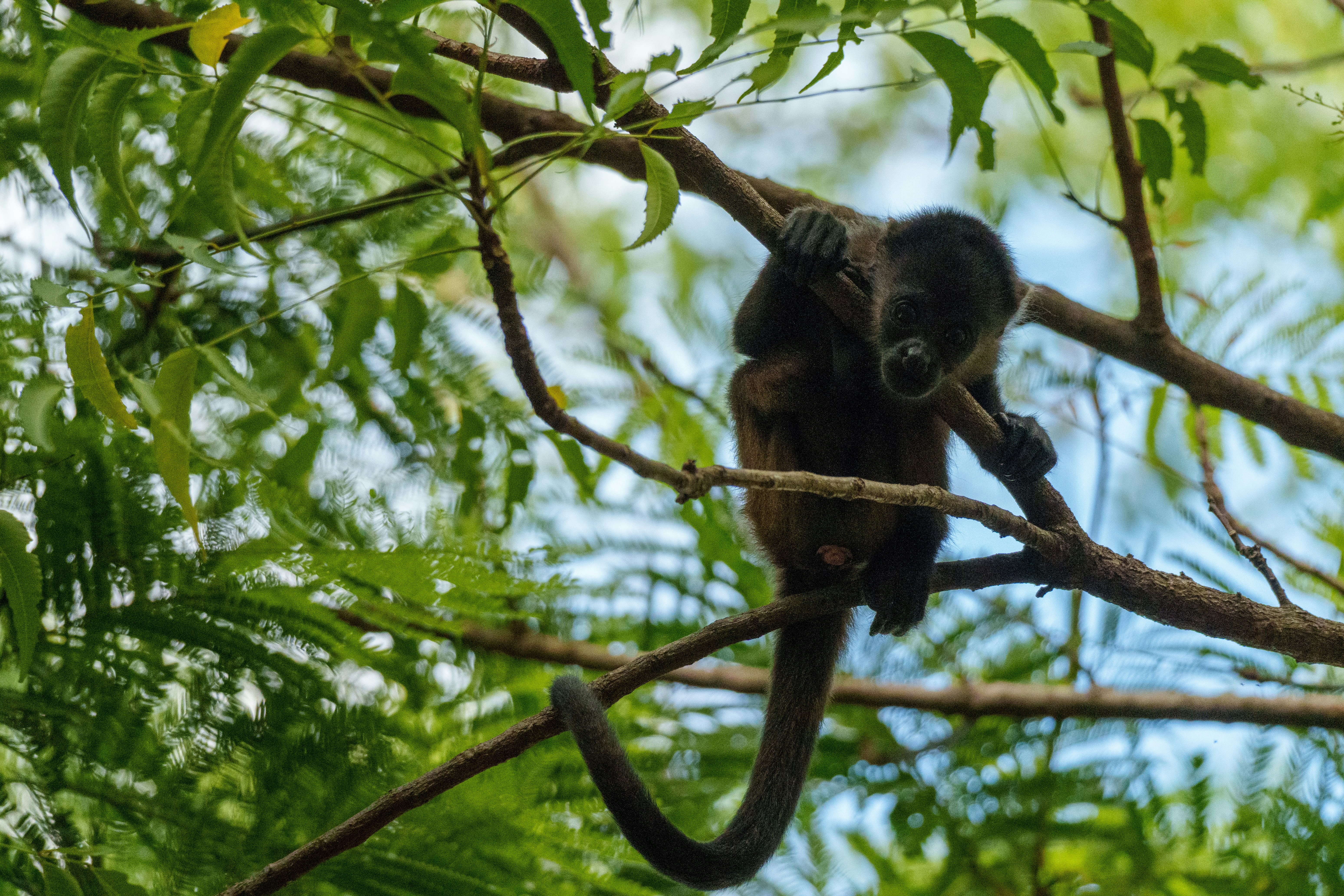 Photo by sizzle_king