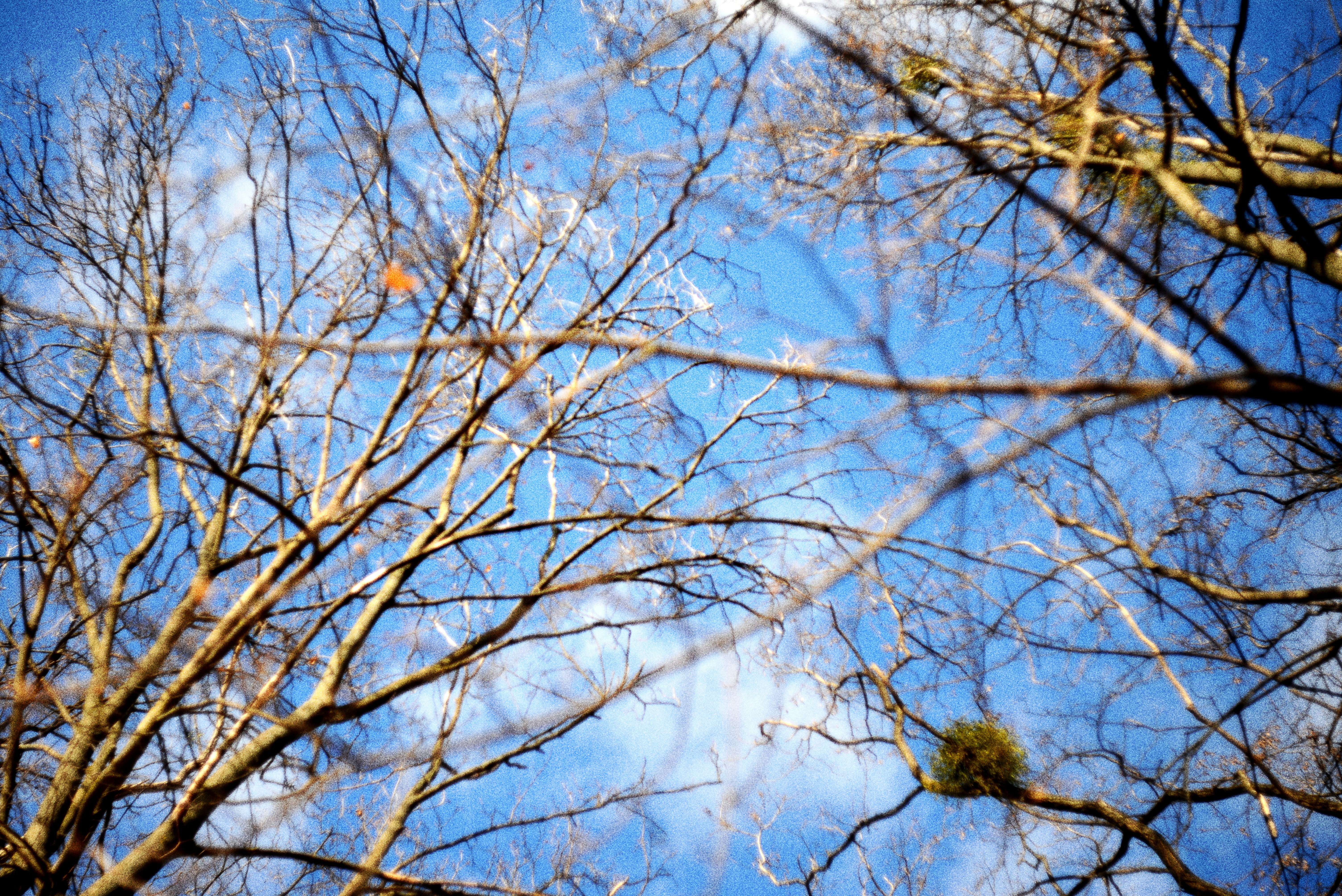 Photo by cherstve_pechivo