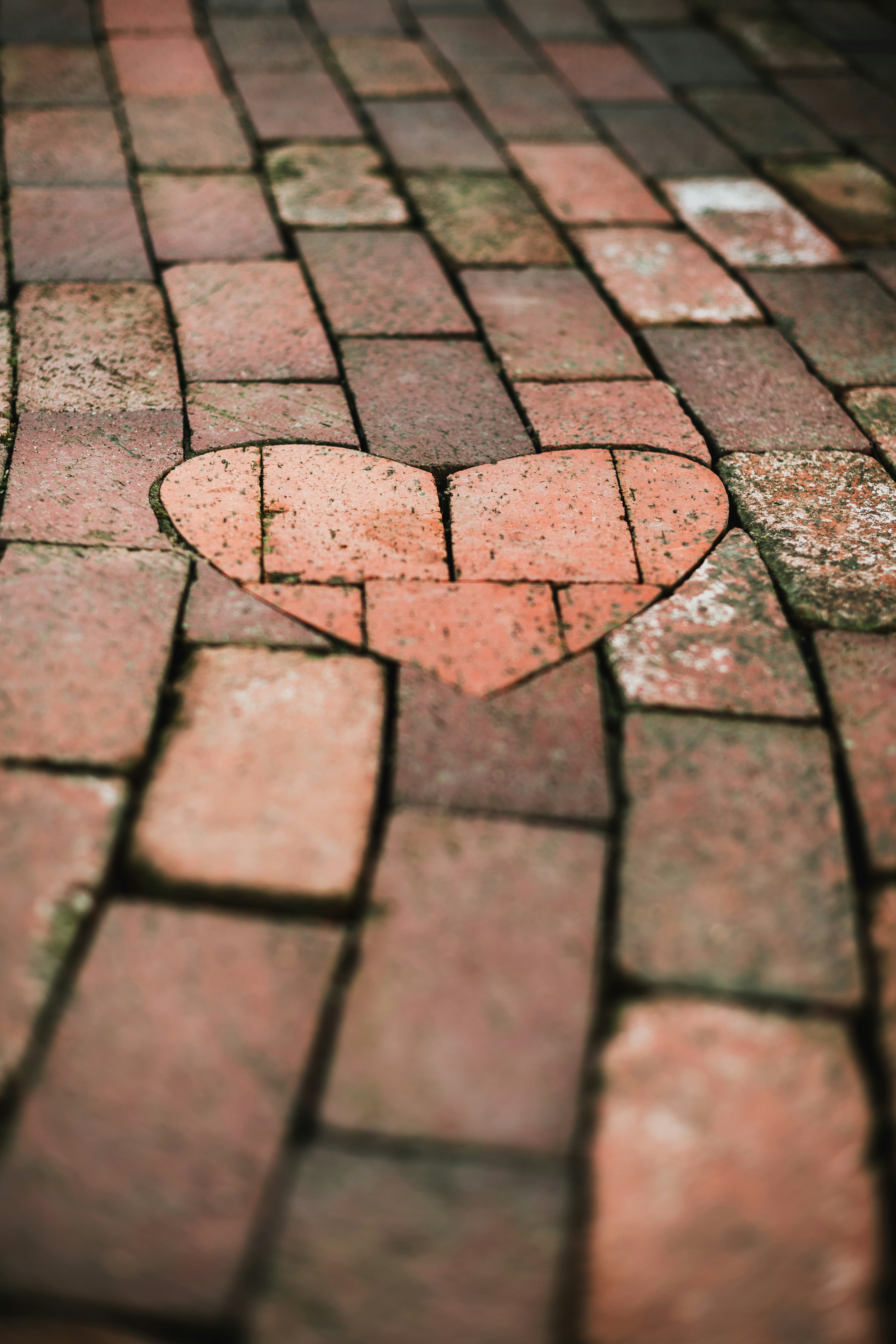 Heart shape made of bricks on a brick pathway.