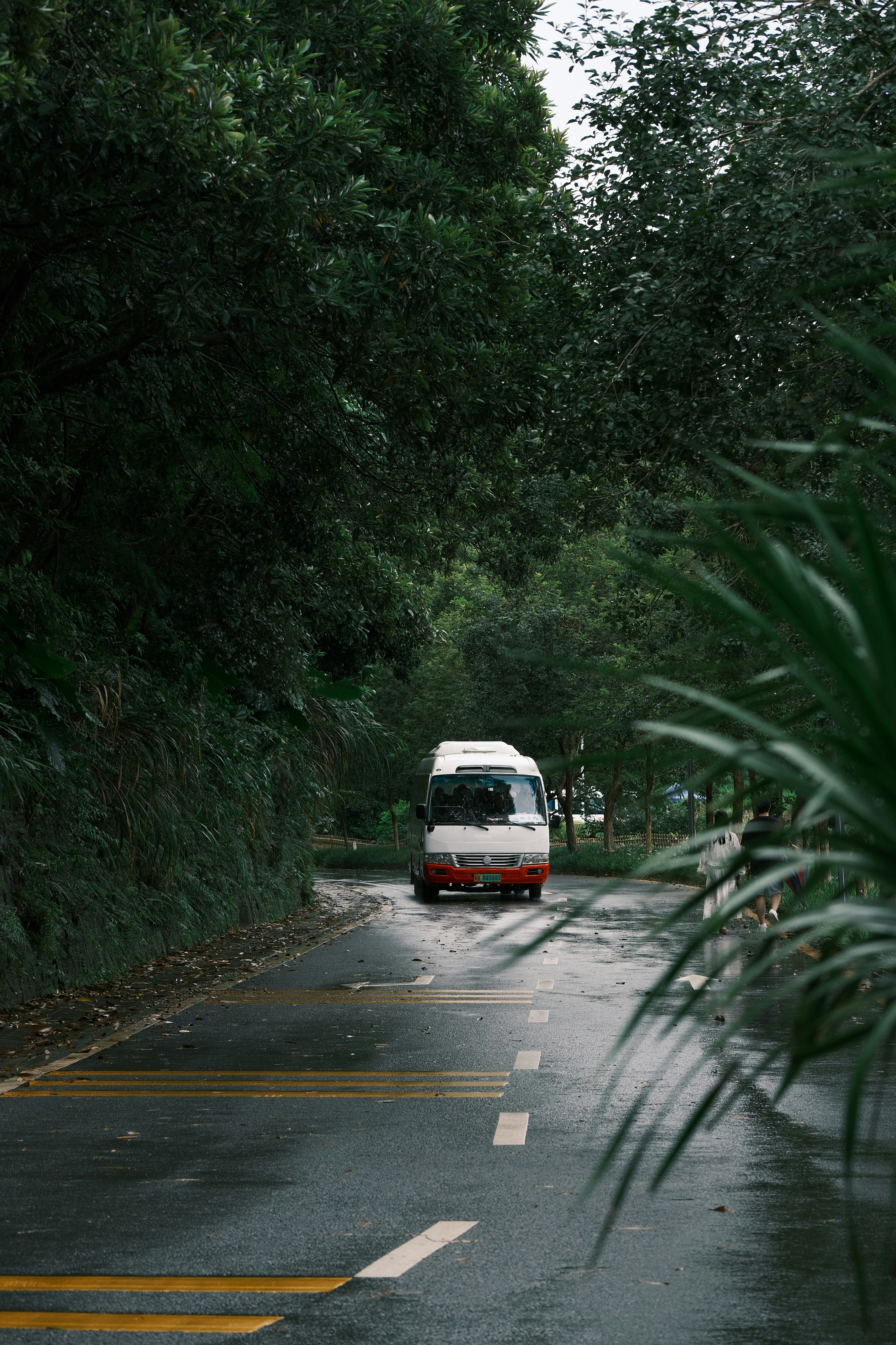 A white and red bus drives on a wet road.