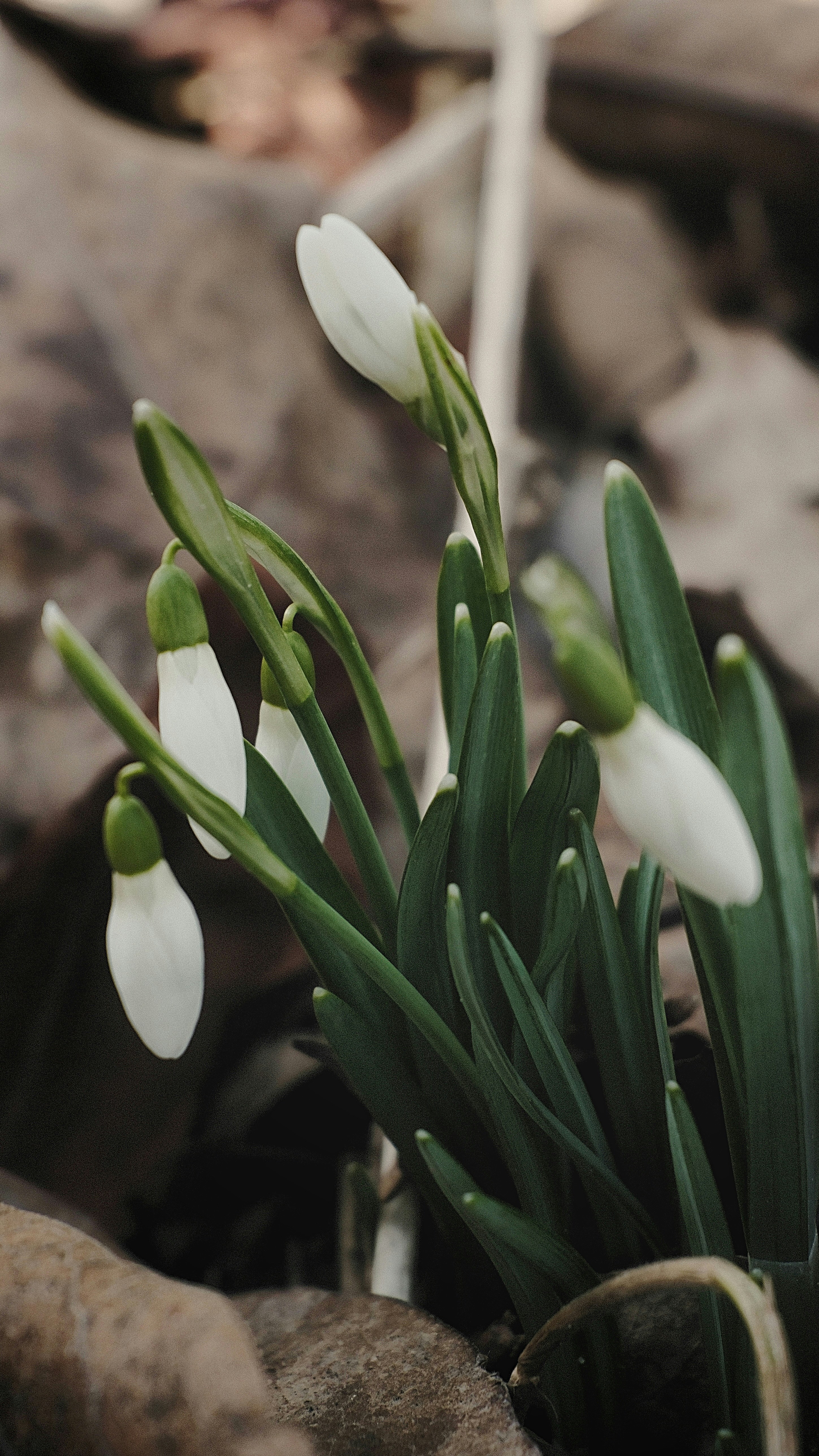 Photo by magnusjonasson