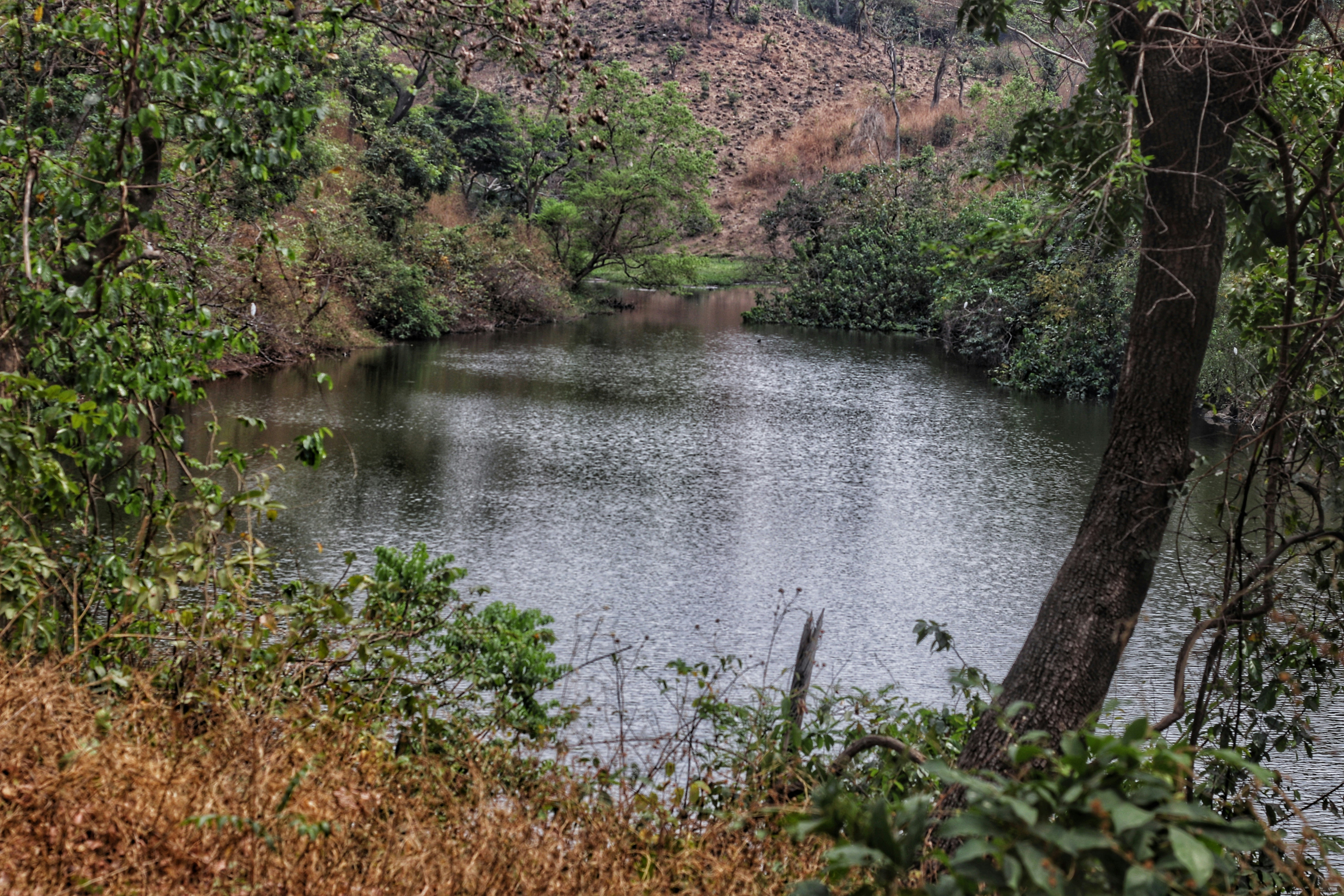 Photo by nancy_okosi1