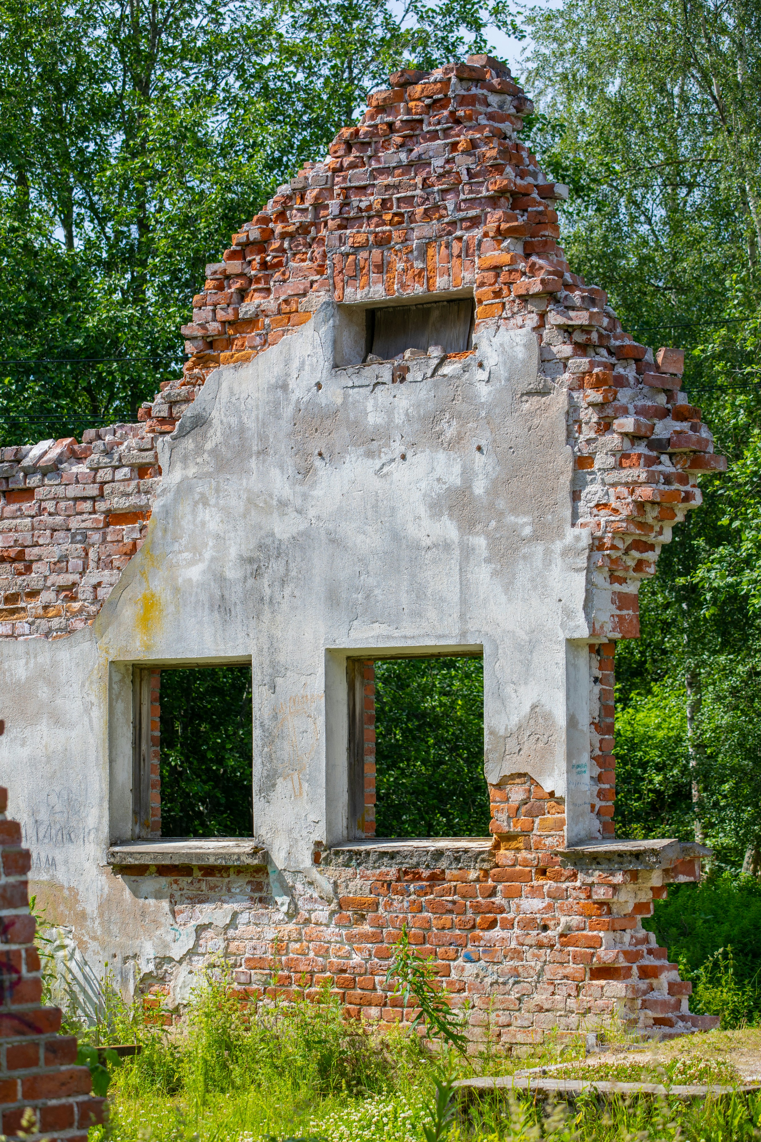 Photo by mariiastepanova1985