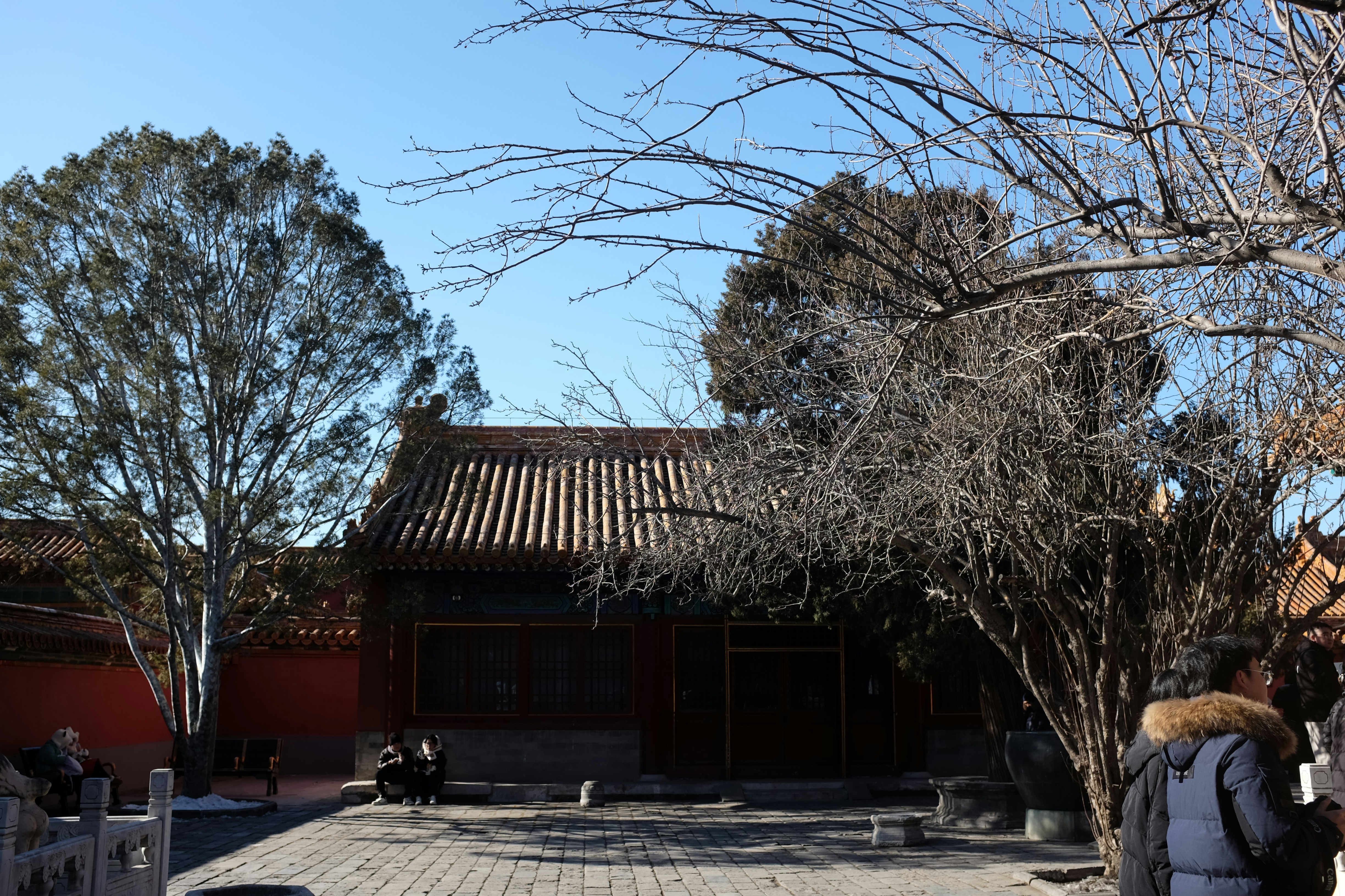 Edifício tradicional com árvores sob um céu azul claro