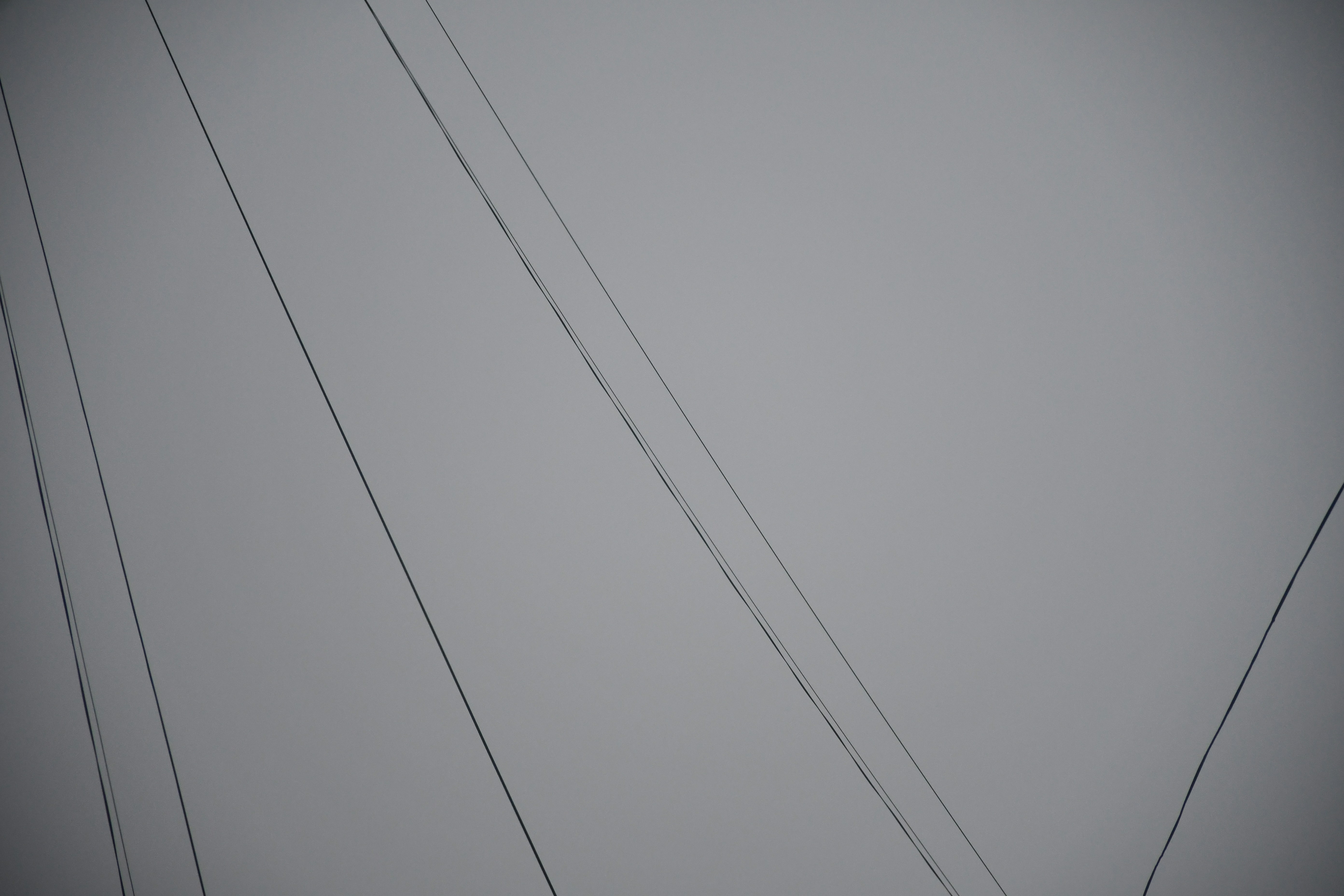 Thin gray lines on a light gray background.