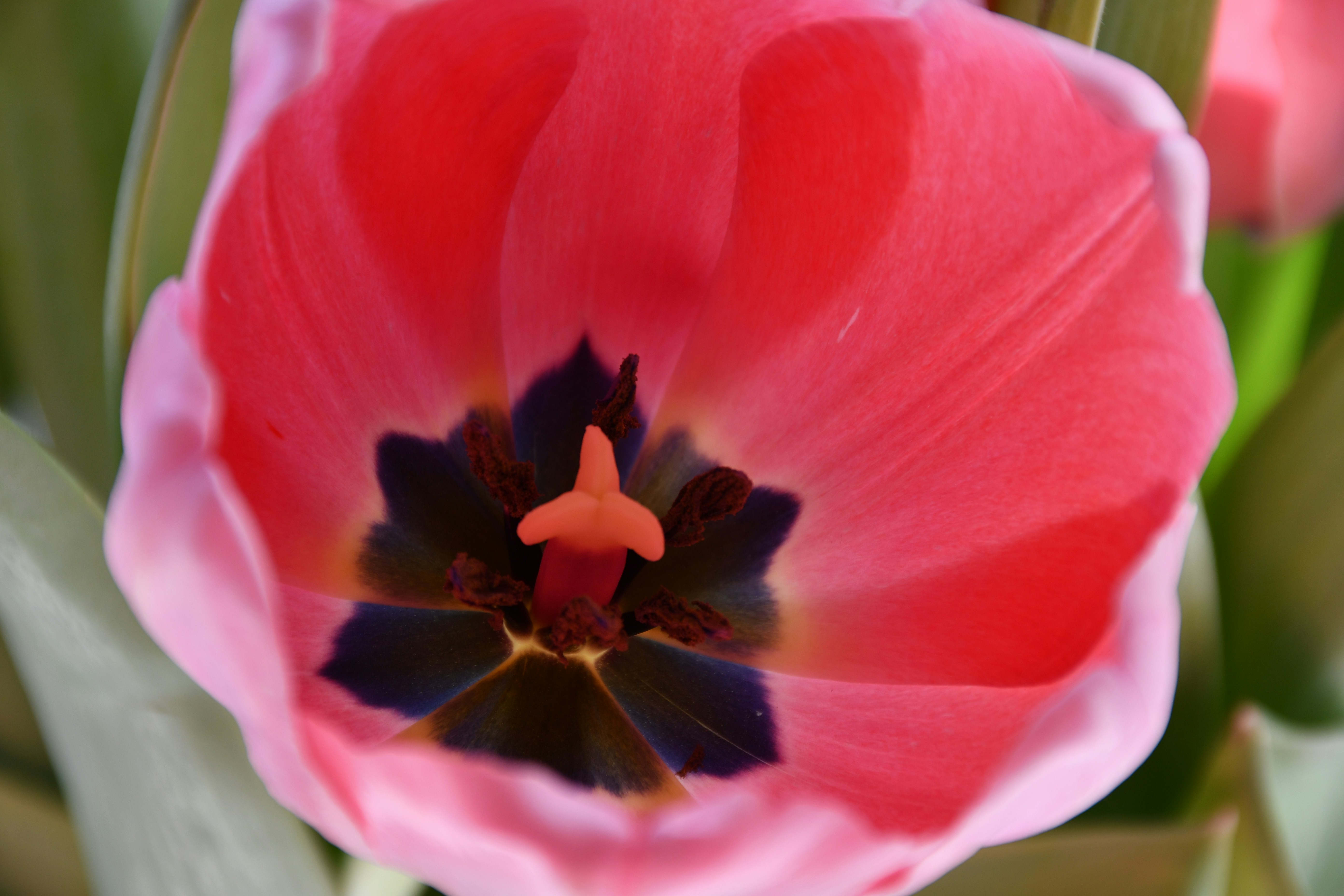 Photo by anna_kharkivska