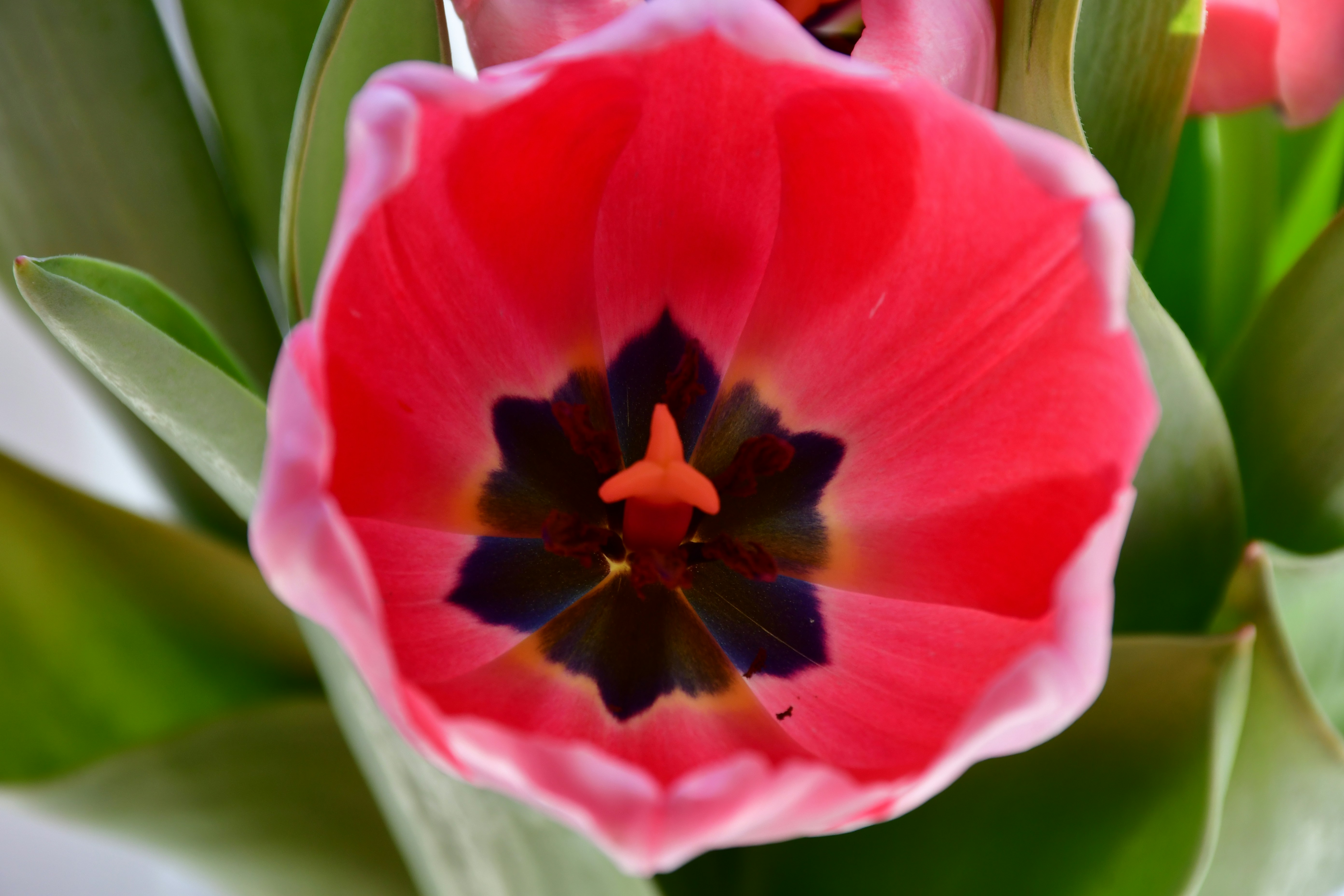 Photo by anna_kharkivska