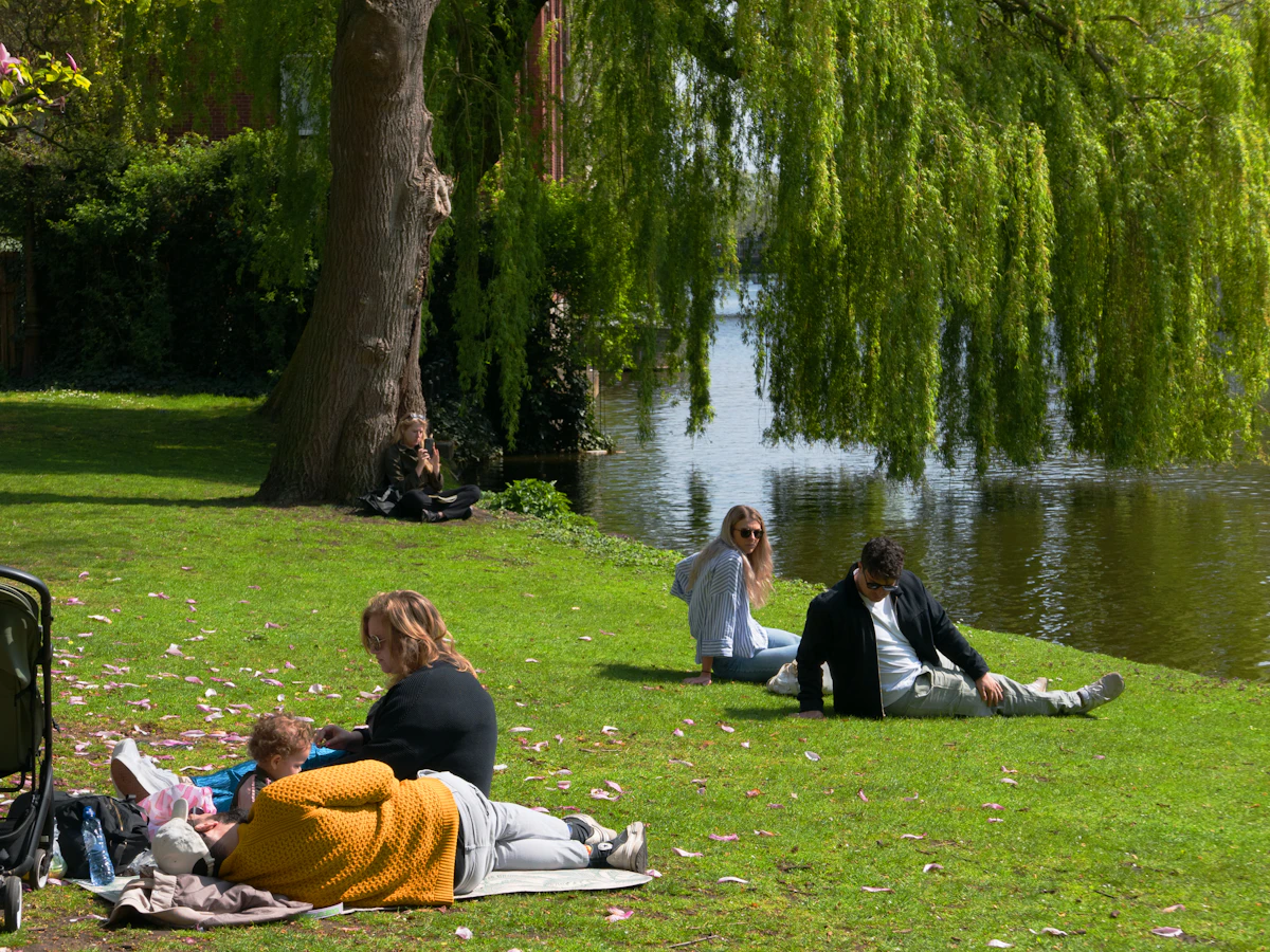 Groene parkruimte Gracht met met groen