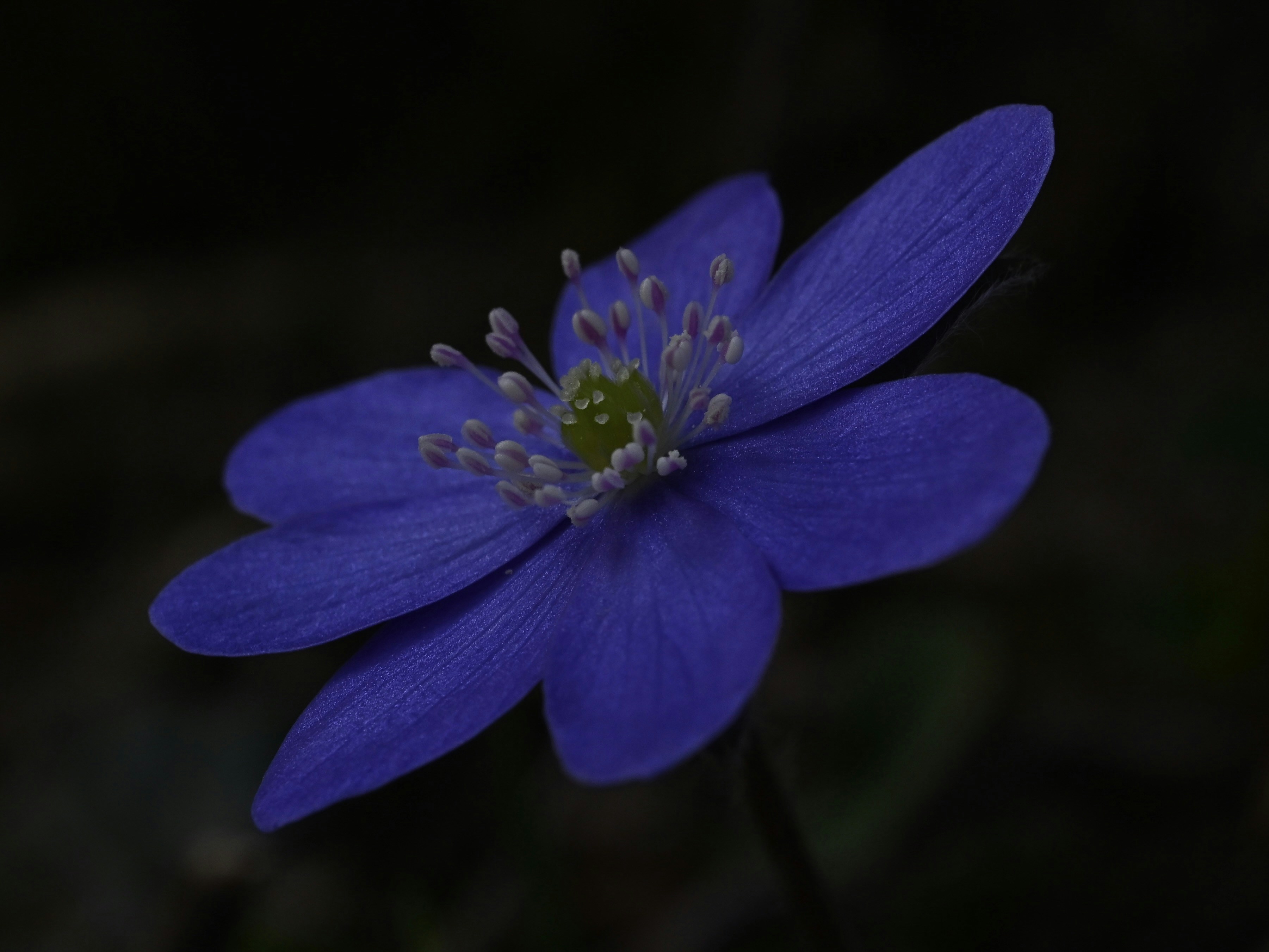 Photo by myworldisblue