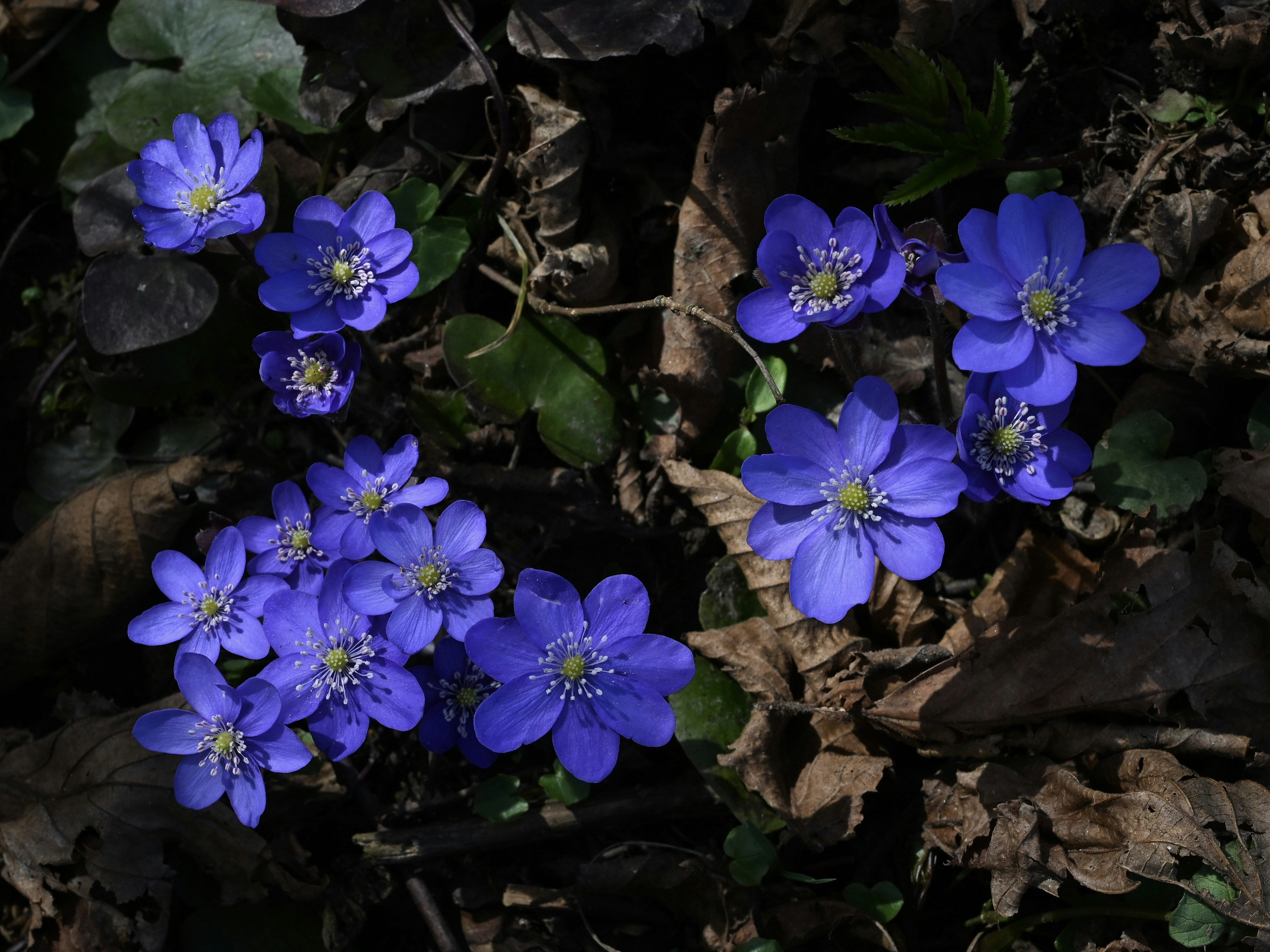 Photo by myworldisblue