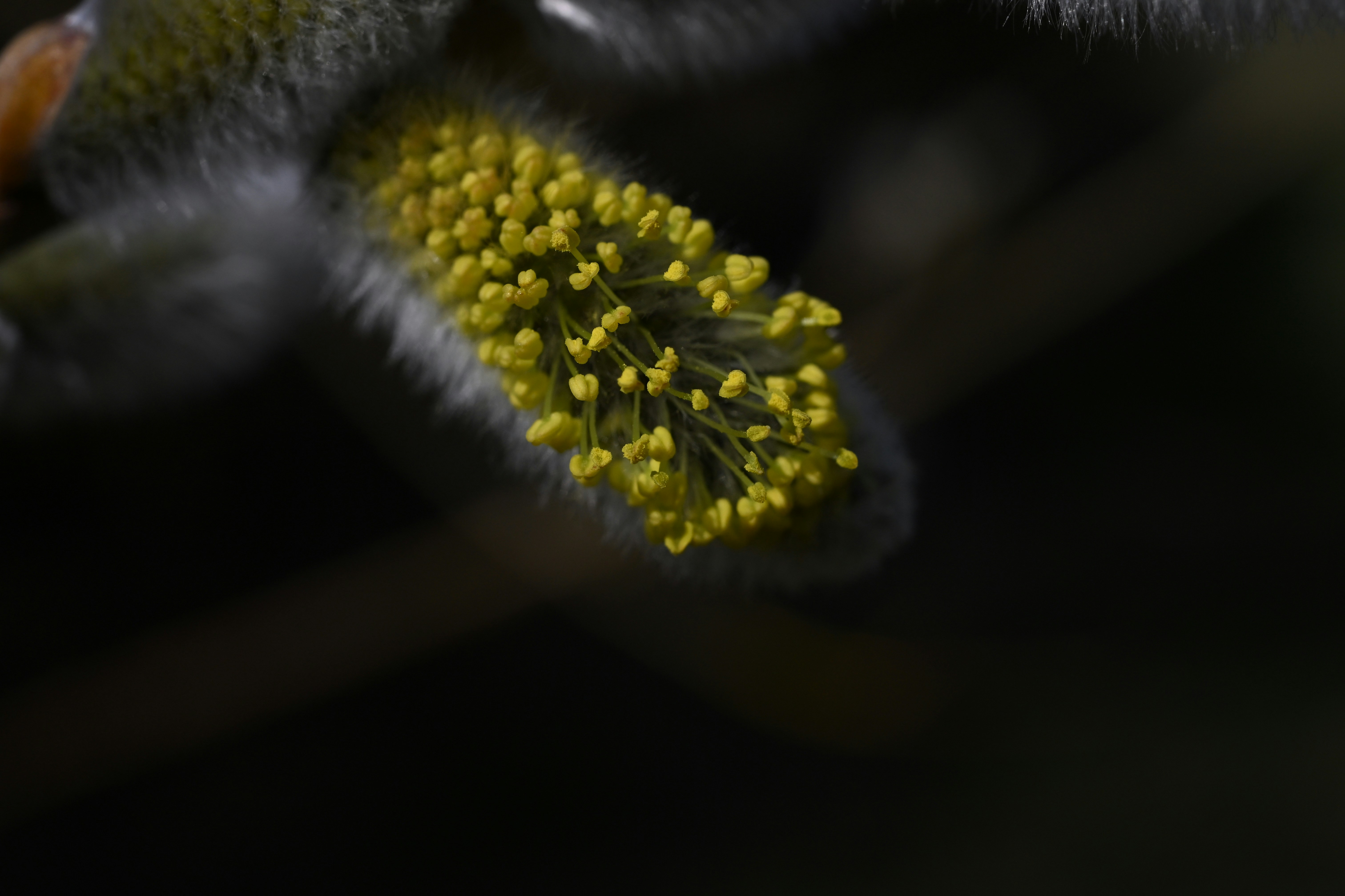 Photo by myworldisblue