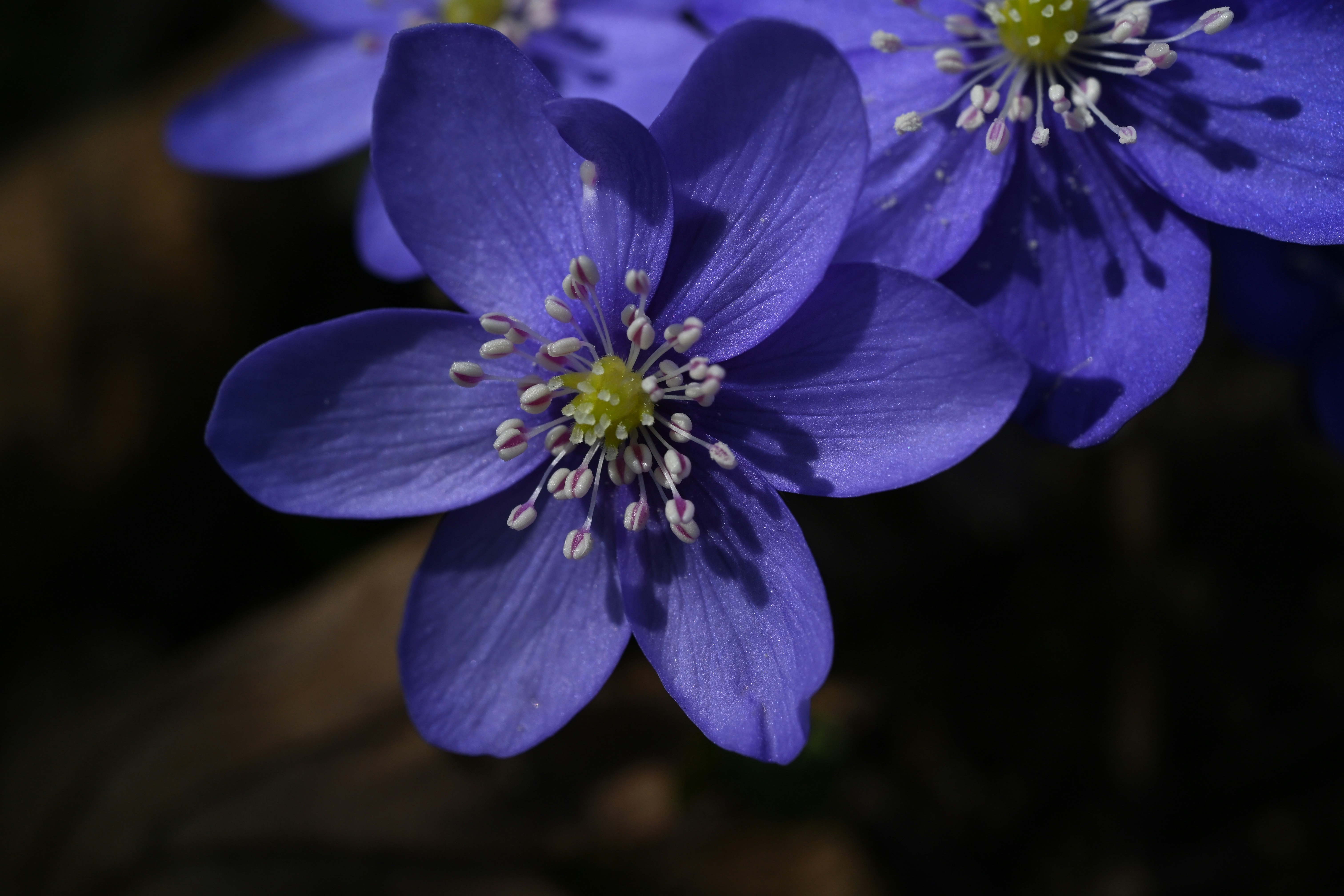 Photo by myworldisblue