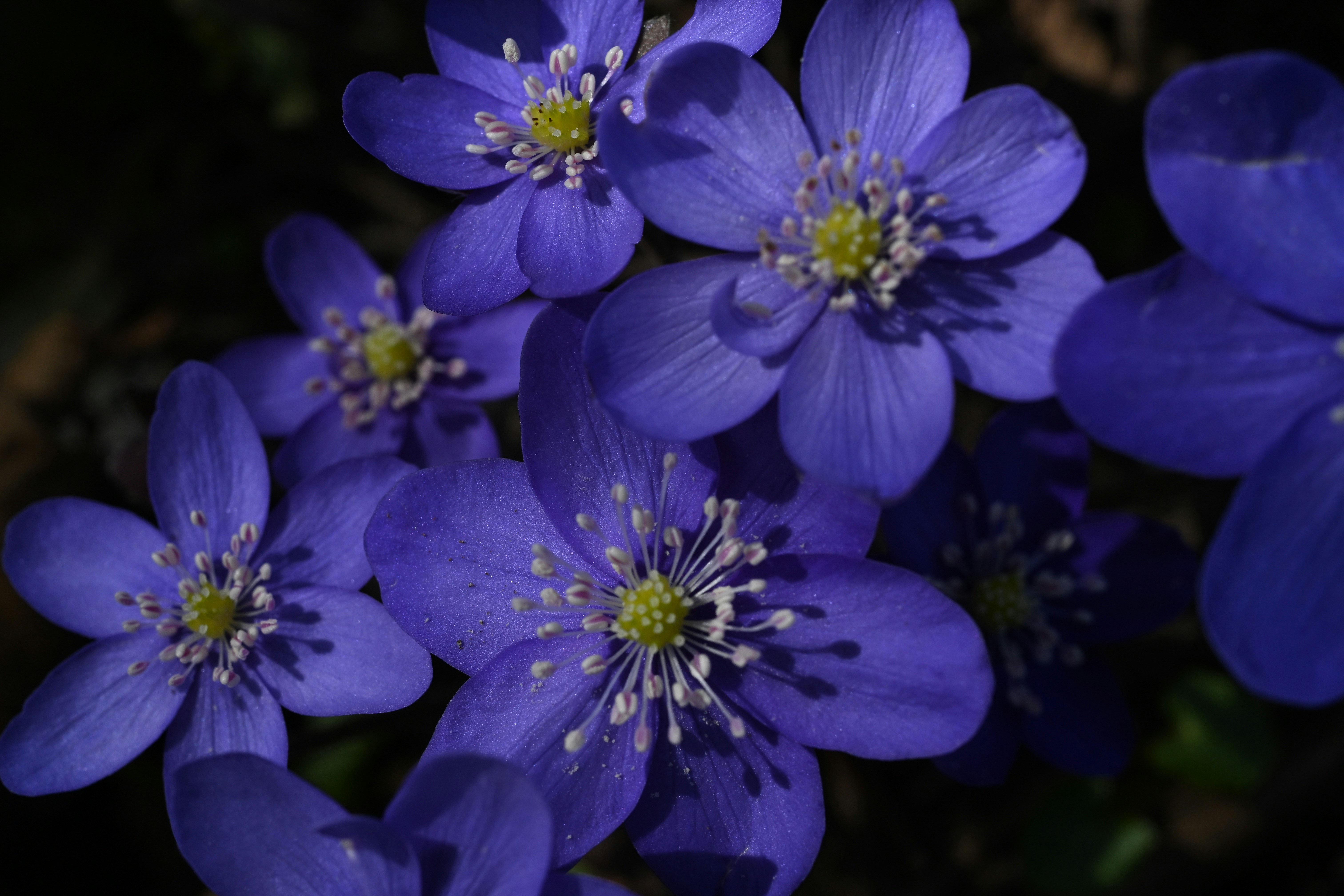 Photo by myworldisblue